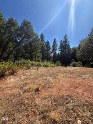 108 CRICKET LN, GRANTS PASS, OR 97527 - Image 1e61cfa6e2e2c36bec15eacb80ef850b/324851654