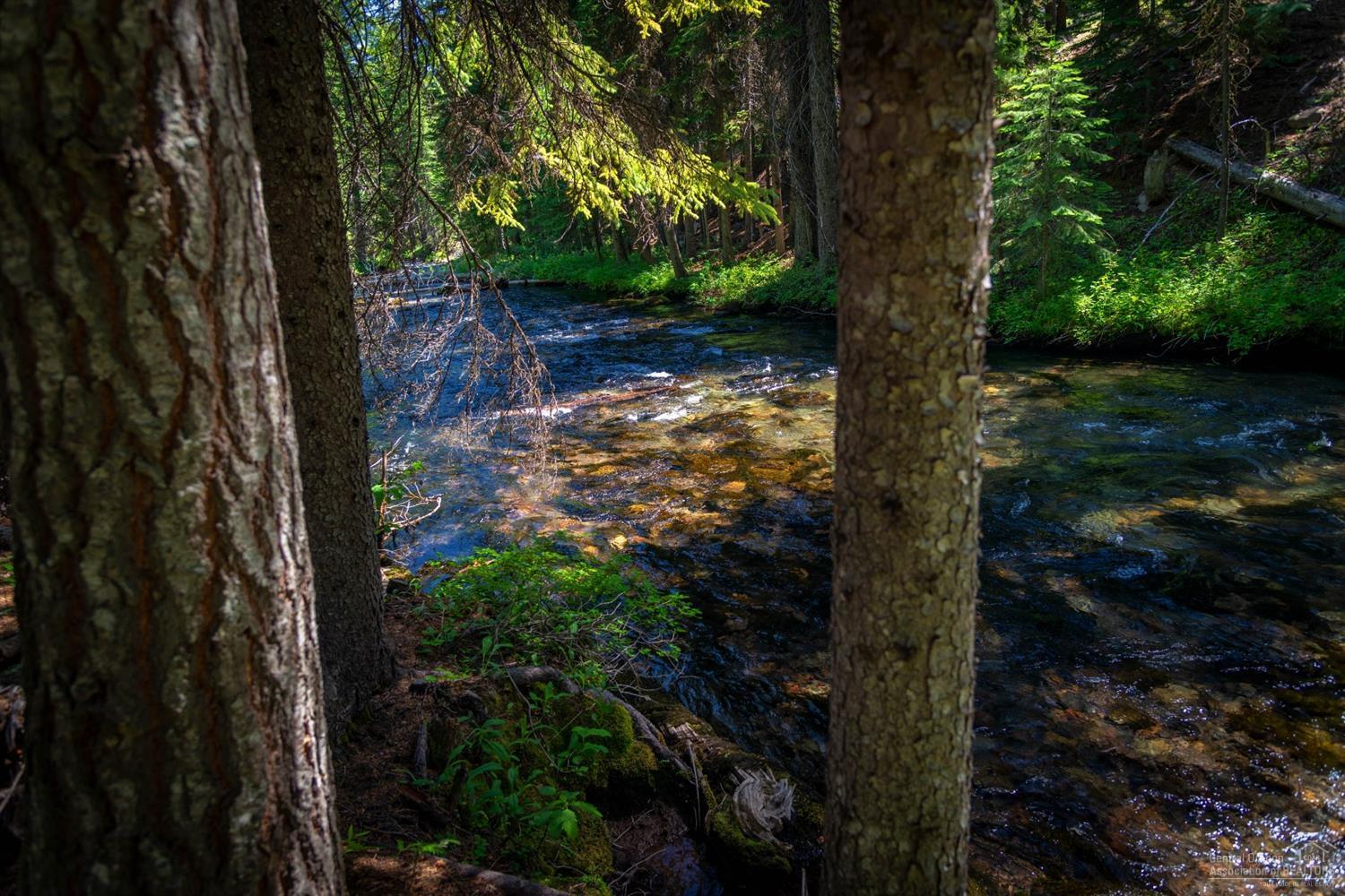 Skyline - Residential