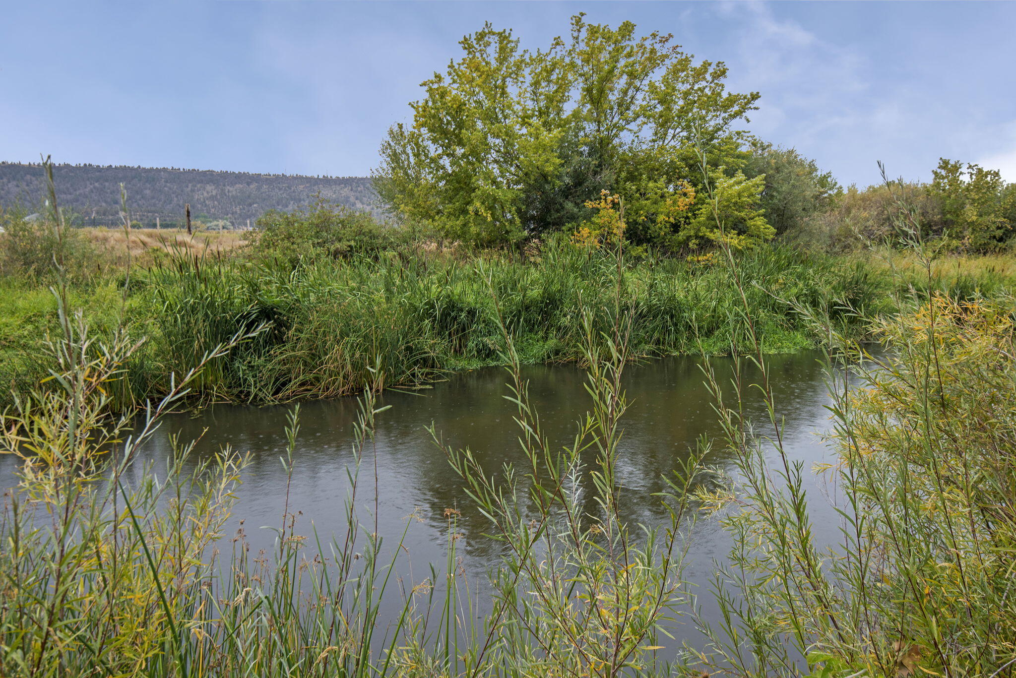 Riverland Village - Residential