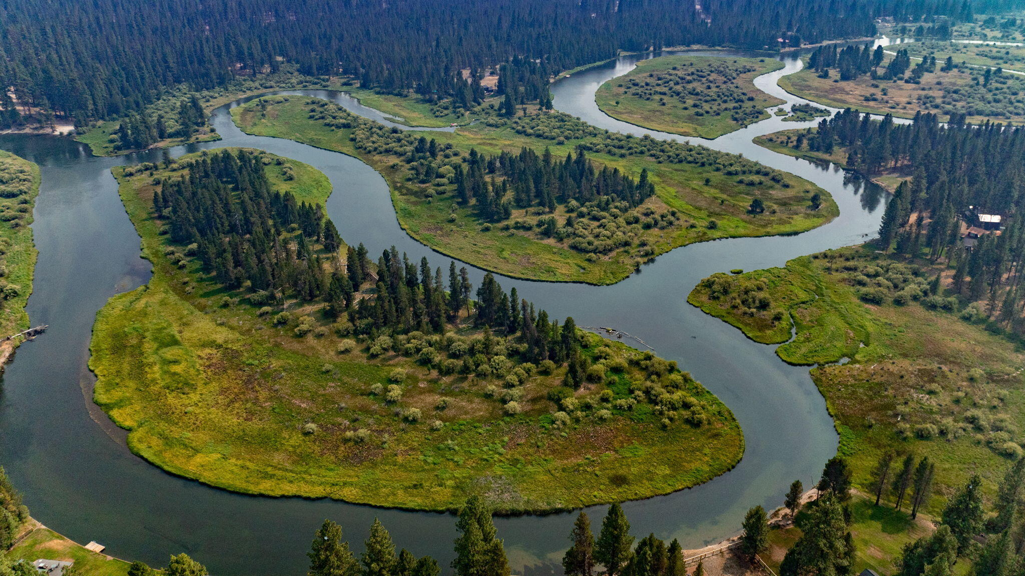 River Forest Acres - Residential