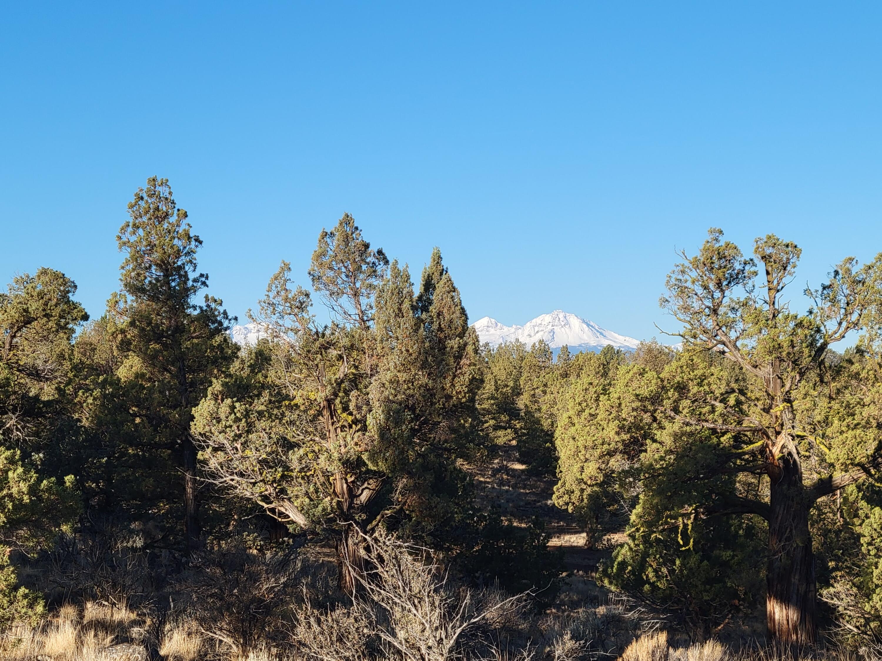 Odin Crest Estate - Land