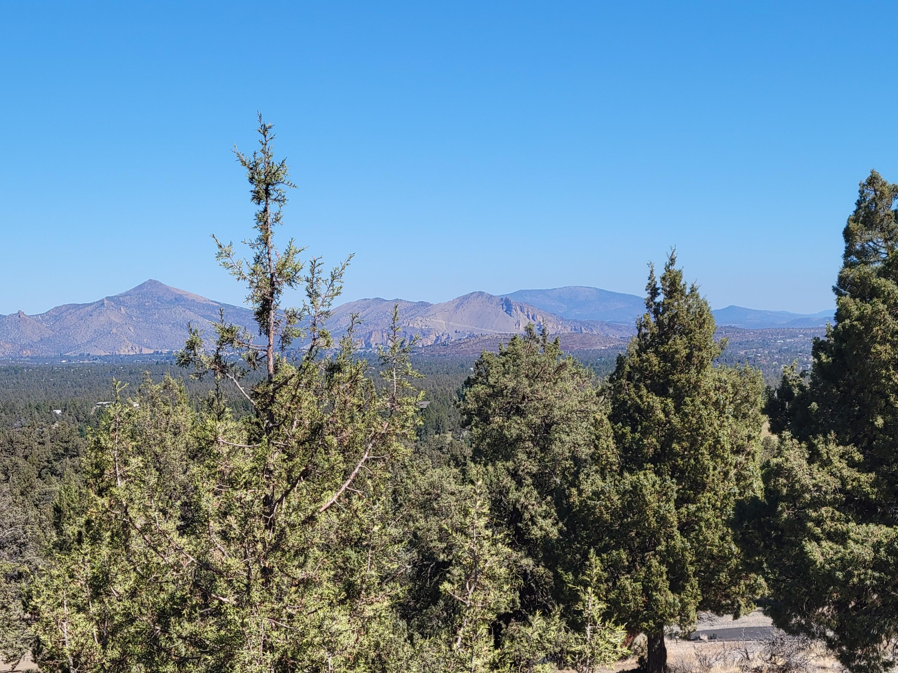 Odin Crest Estate - Land