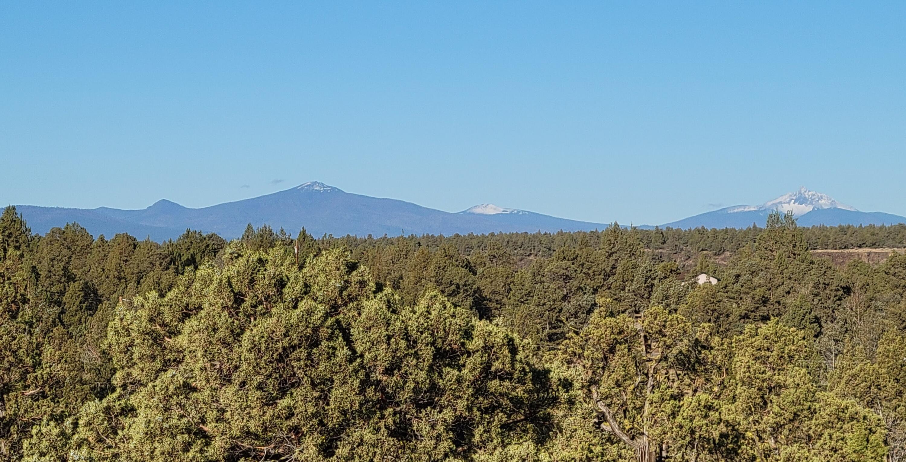 Odin Crest Estate - Land