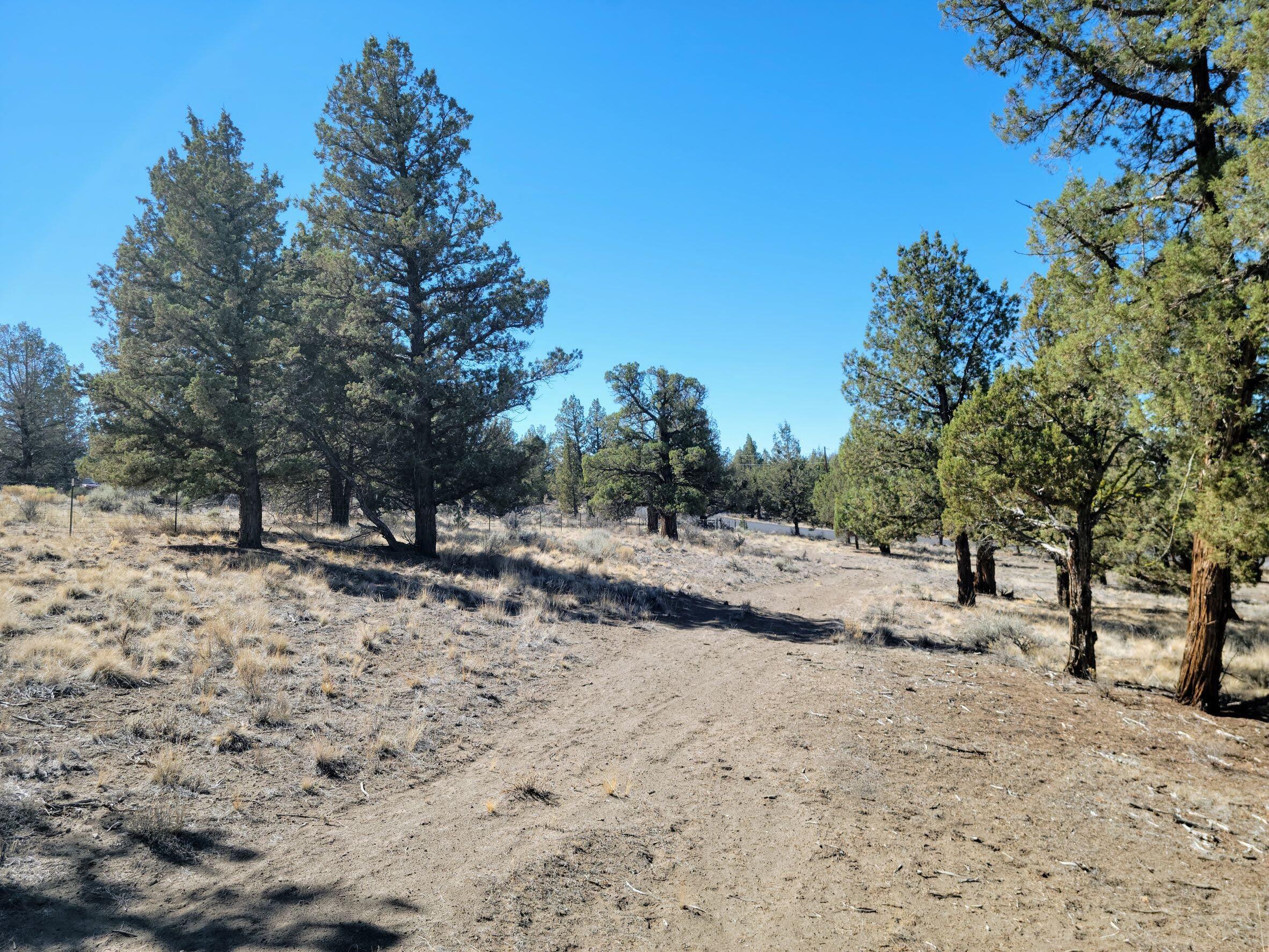 Odin Crest Estate - Land