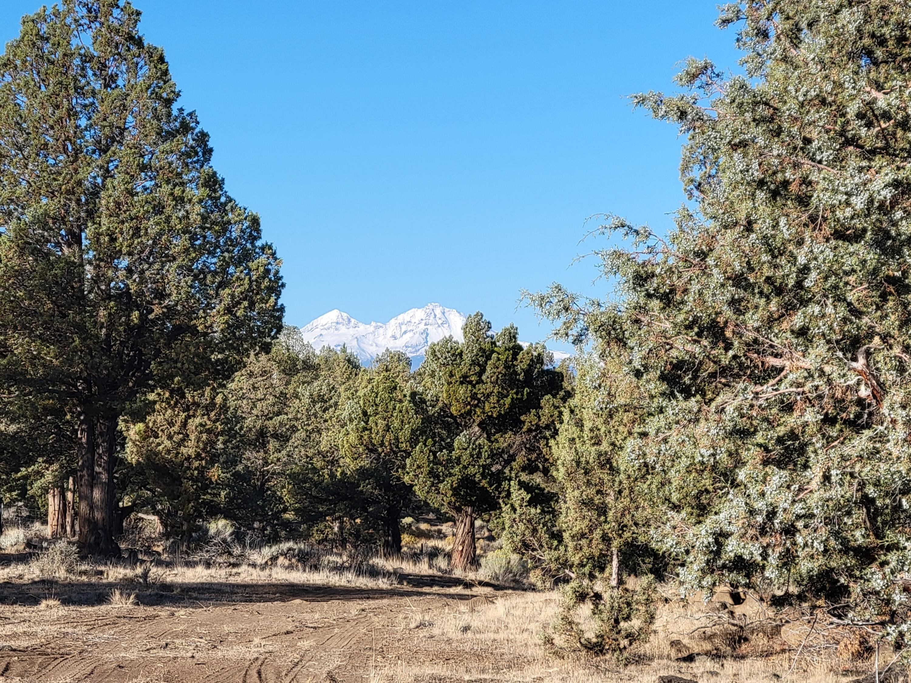 Odin Crest Estate - Land