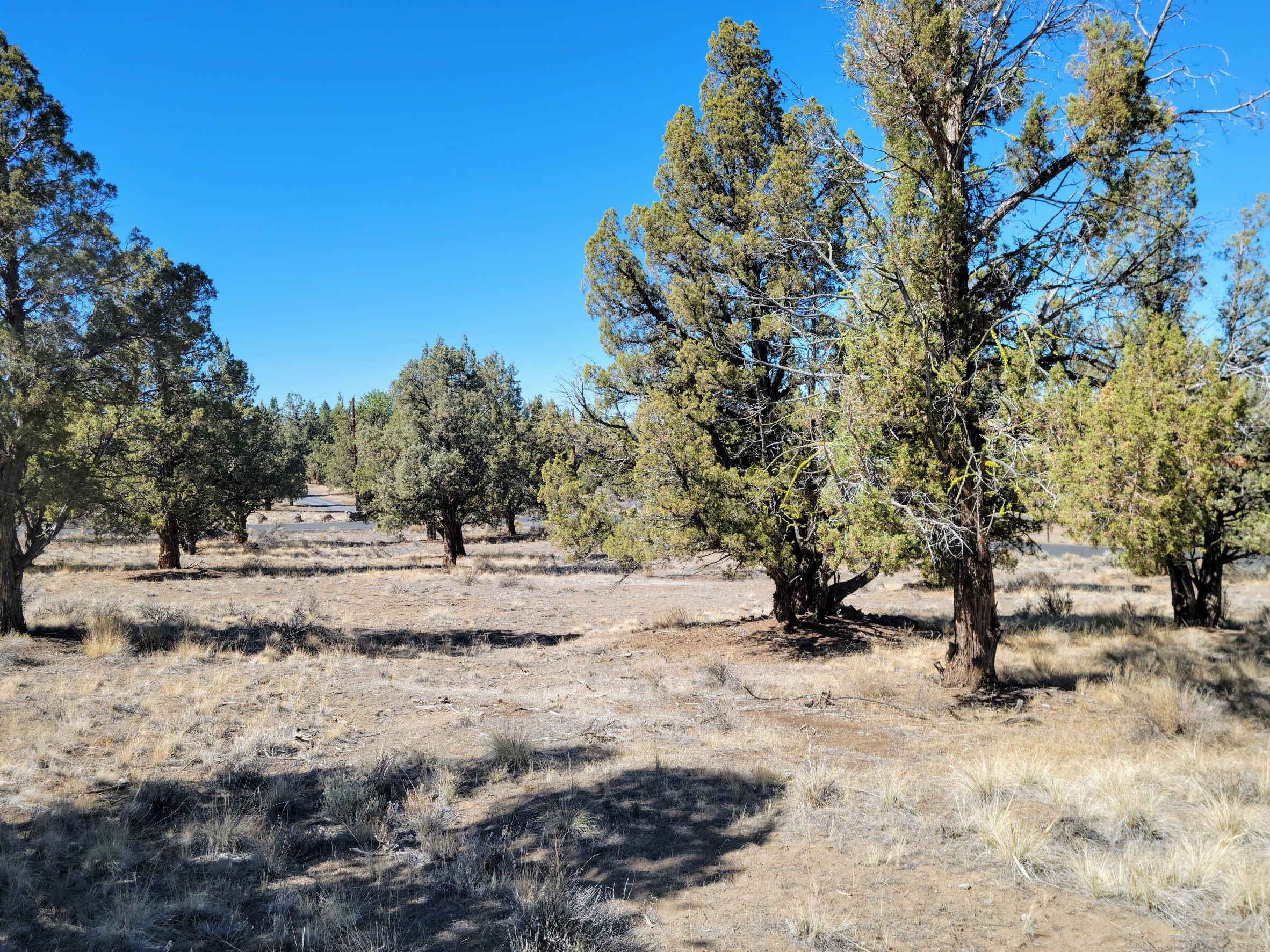 Odin Crest Estate - Land