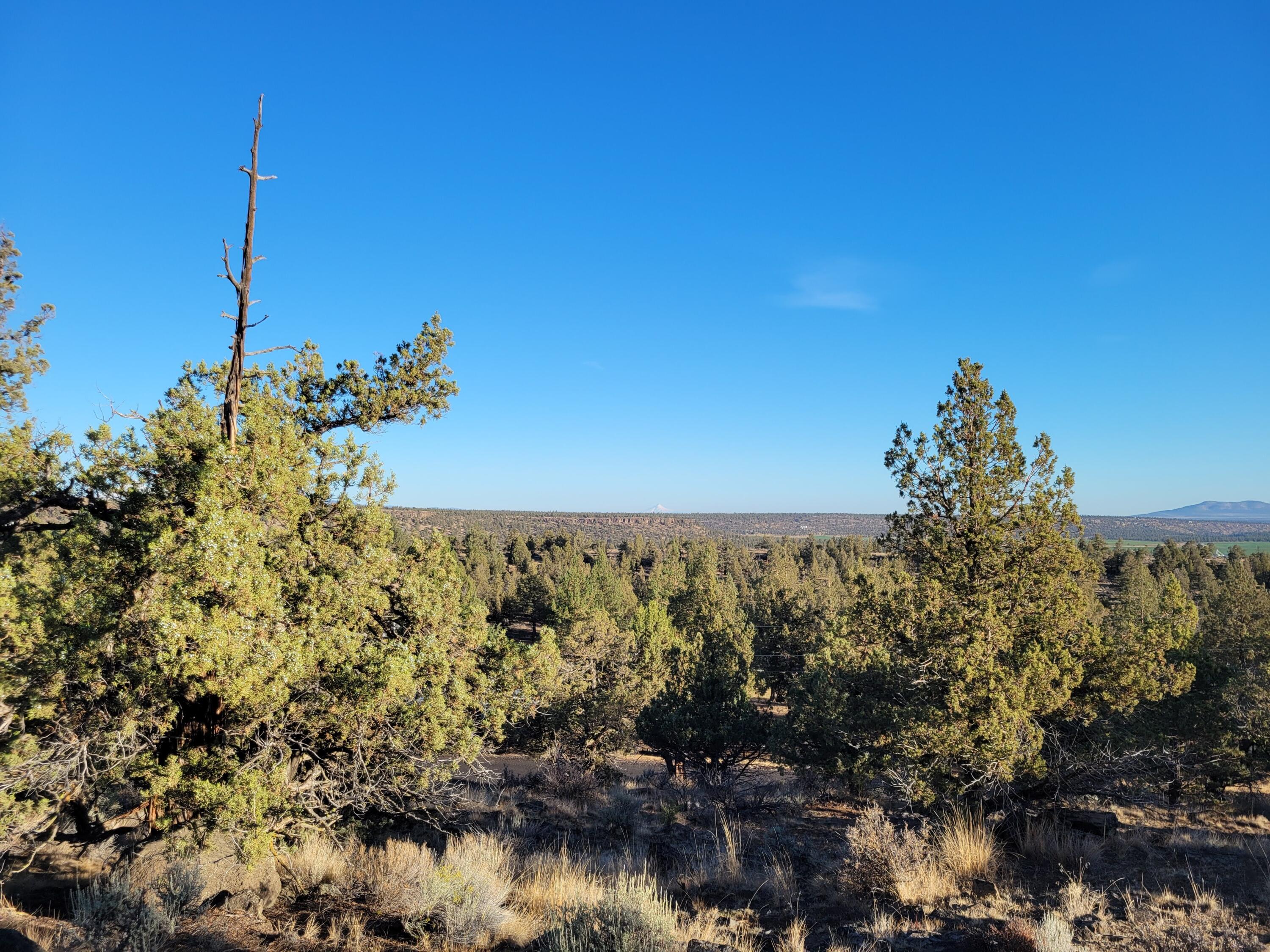 Odin Crest Estate - Land