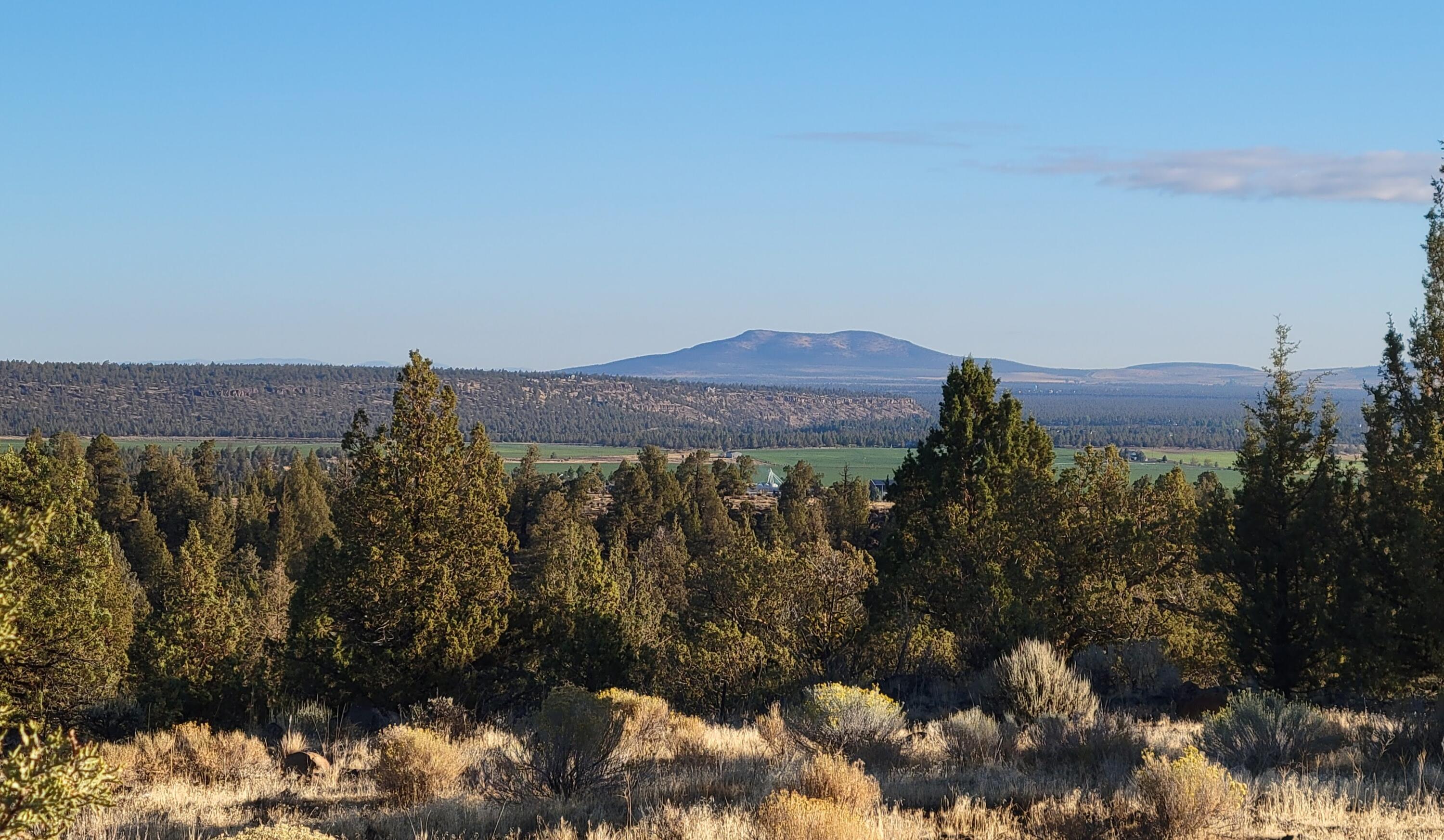 Odin Crest Estate - Land