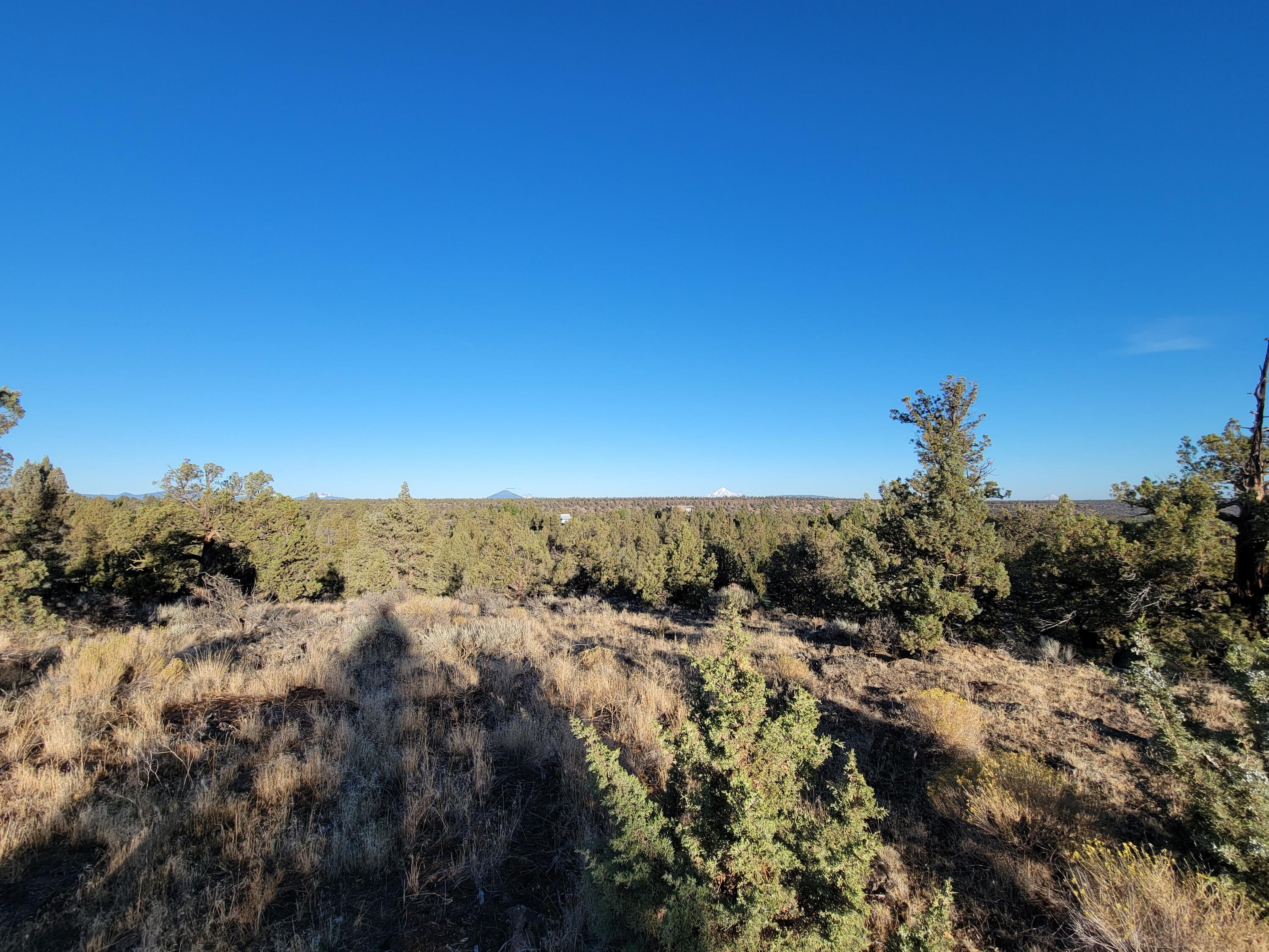 Odin Crest Estate - Land