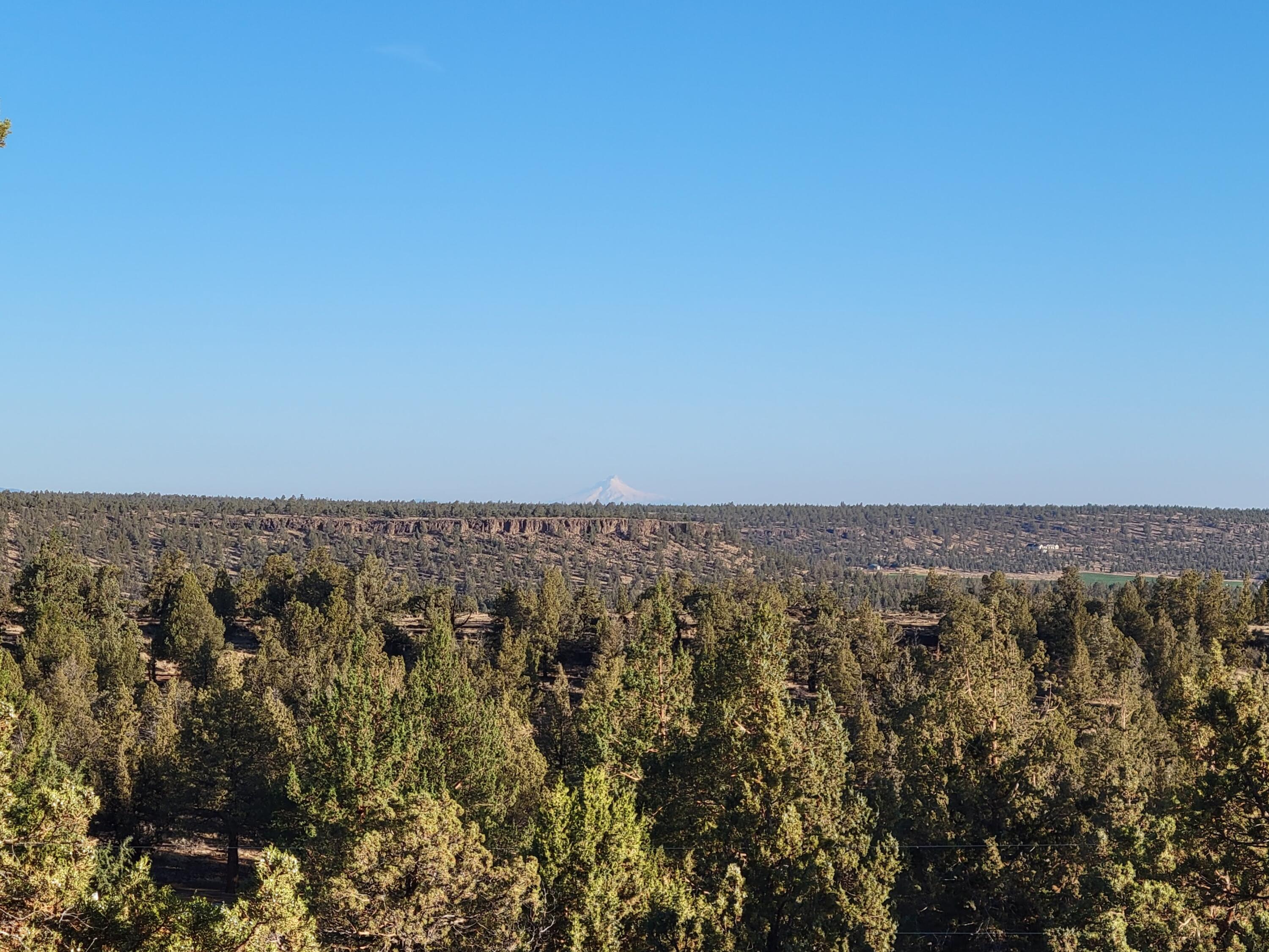 Odin Crest Estate - Land