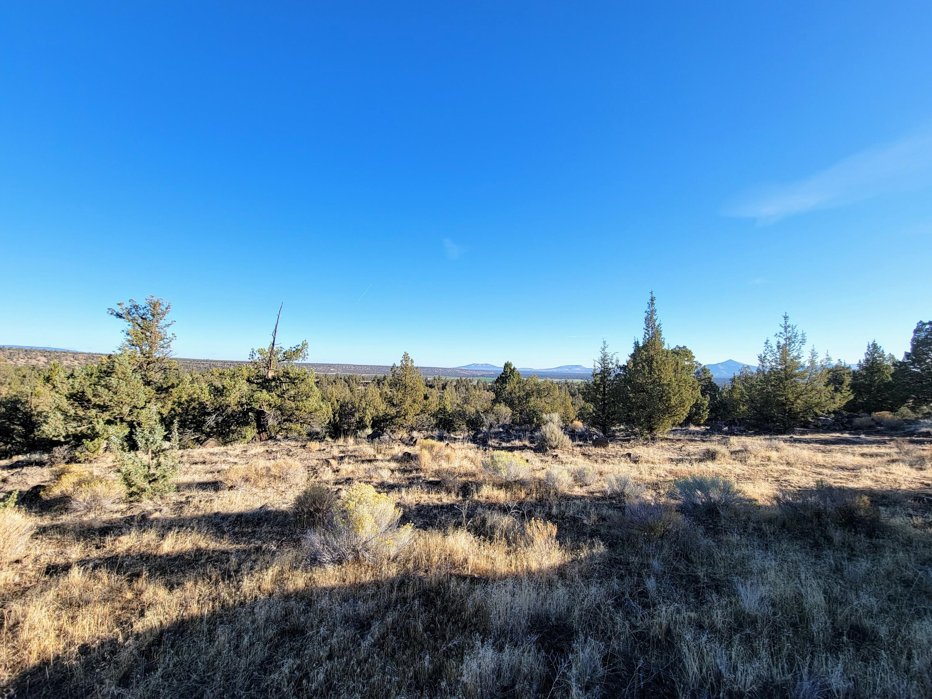 Odin Crest Estate - Land