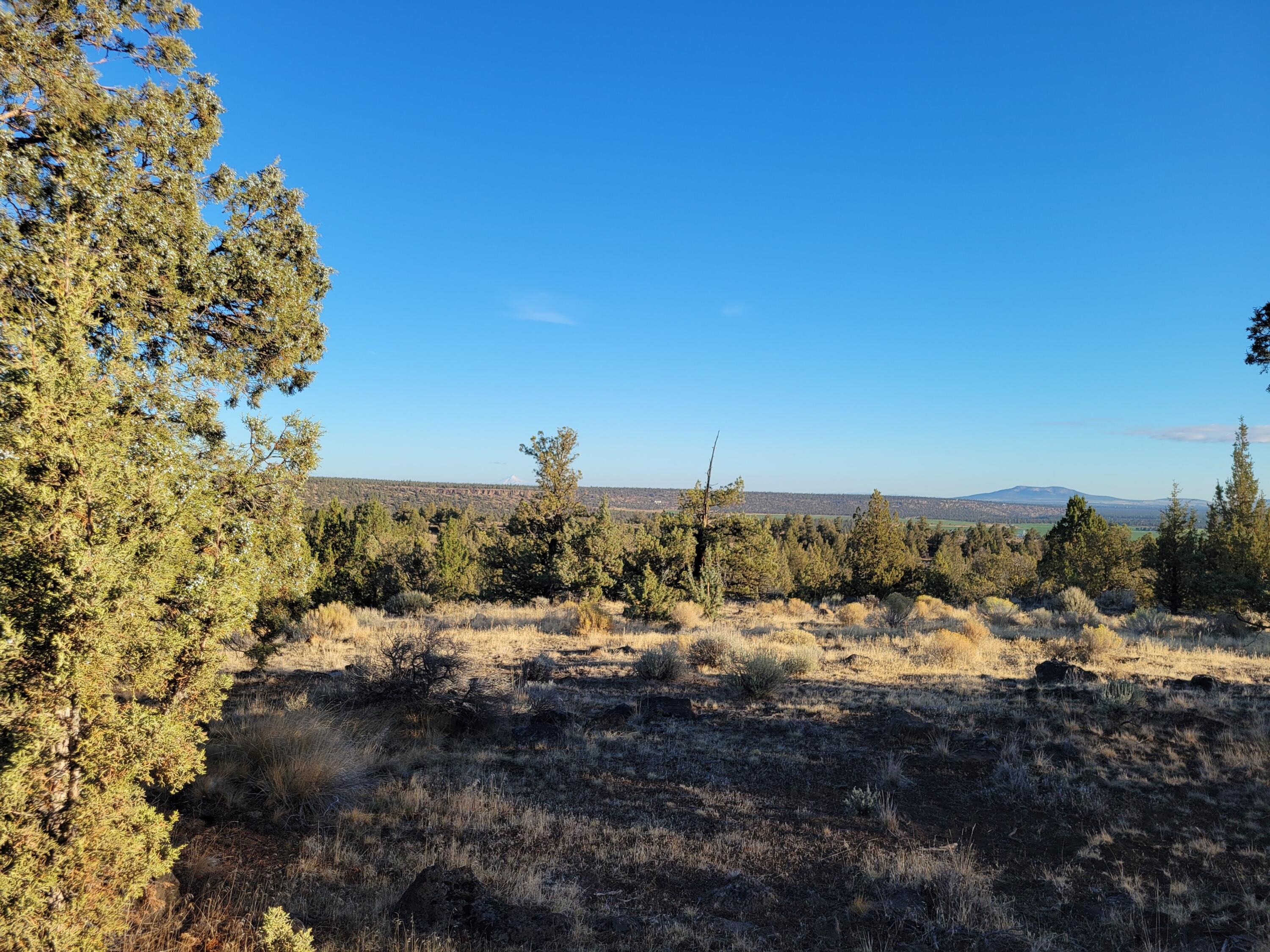 Odin Crest Estate - Land