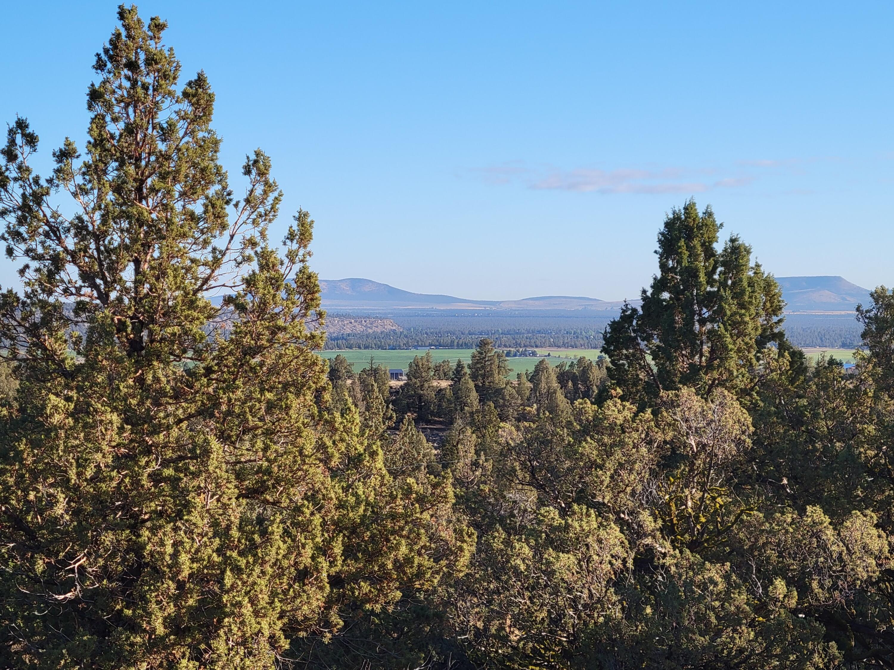 Odin Crest Estate - Land