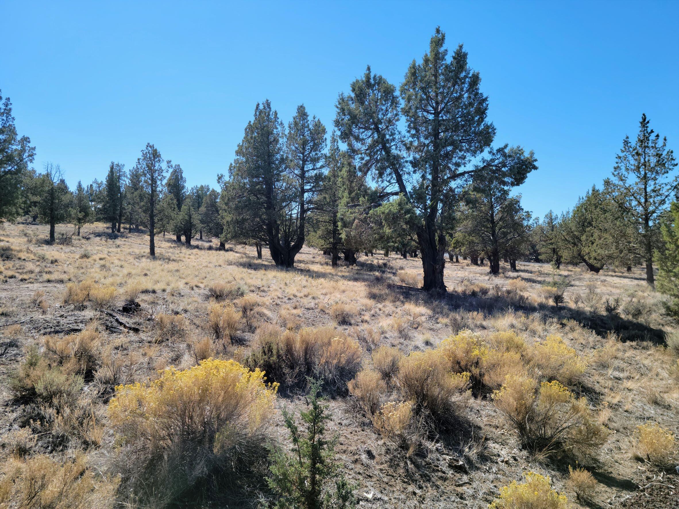 Odin Crest Estate - Land