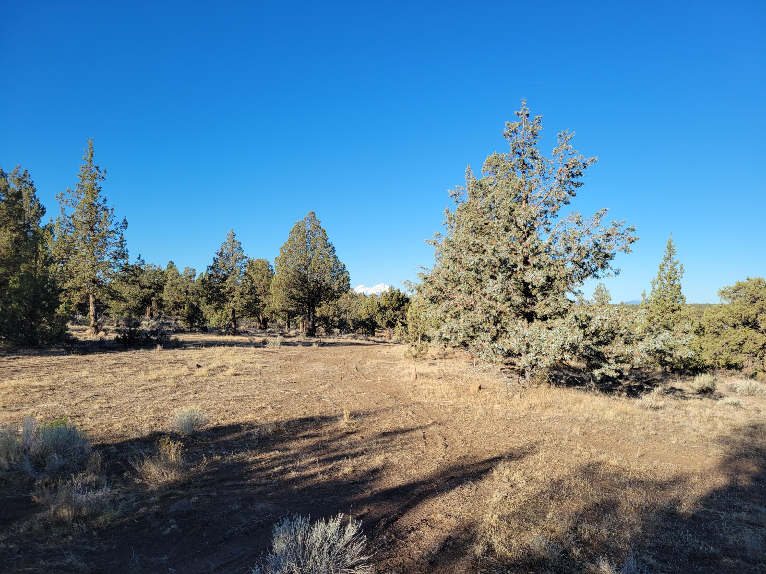 Odin Crest Estate - Land