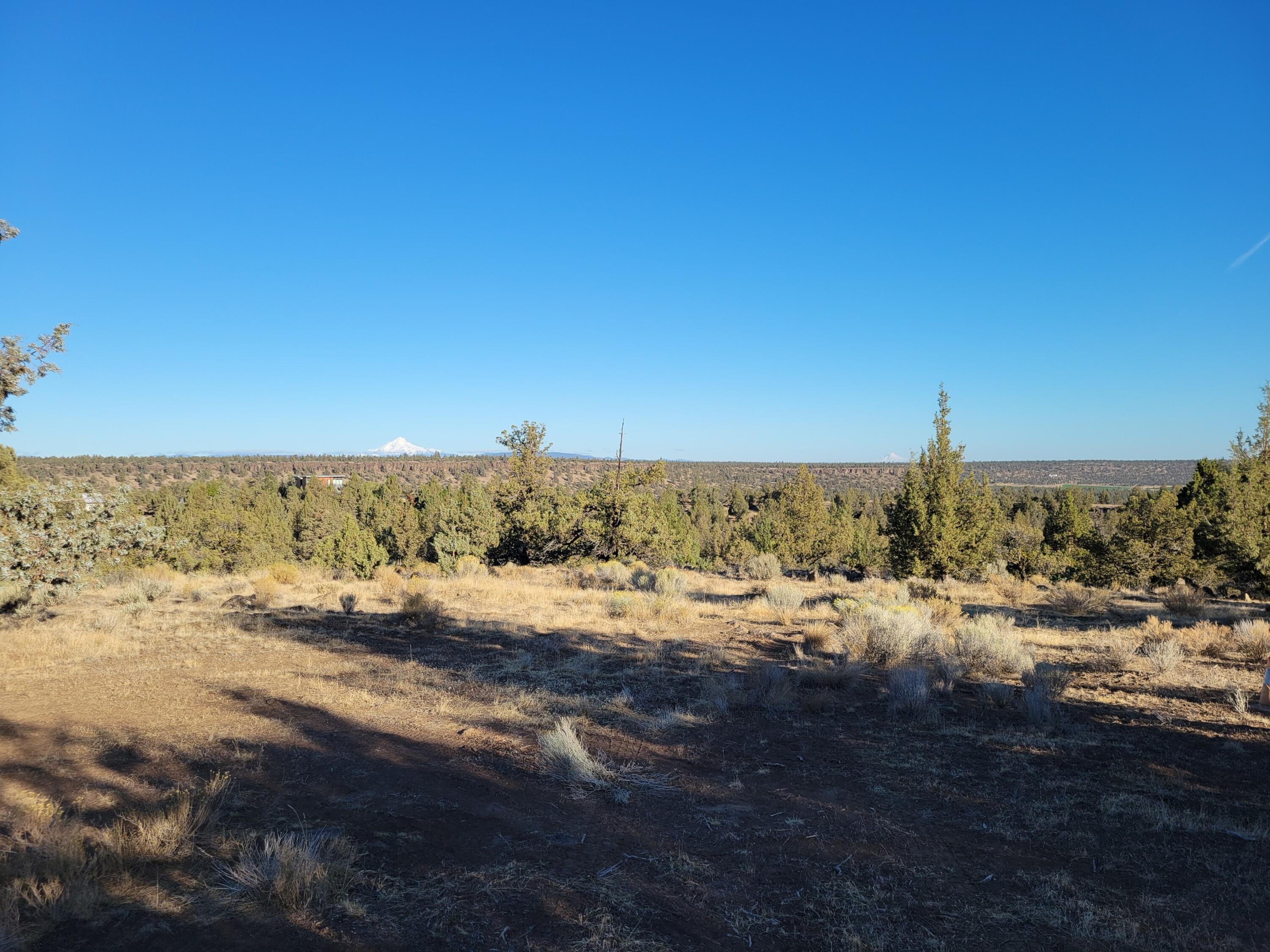 Odin Crest Estate - Land