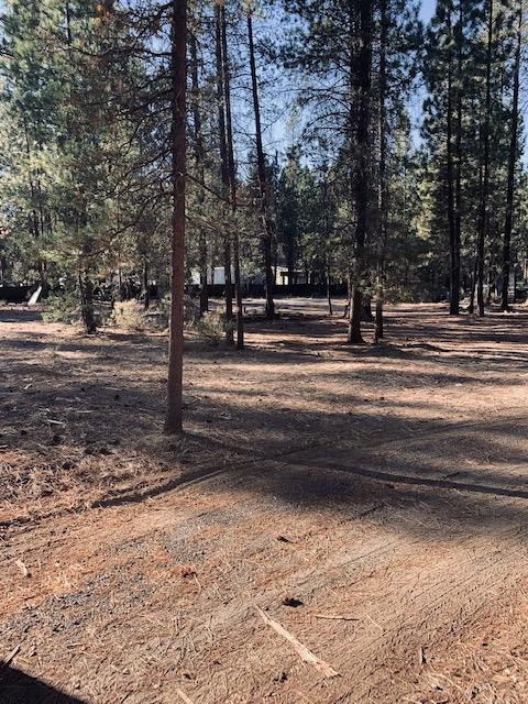 Ponderosa Pines East - Land