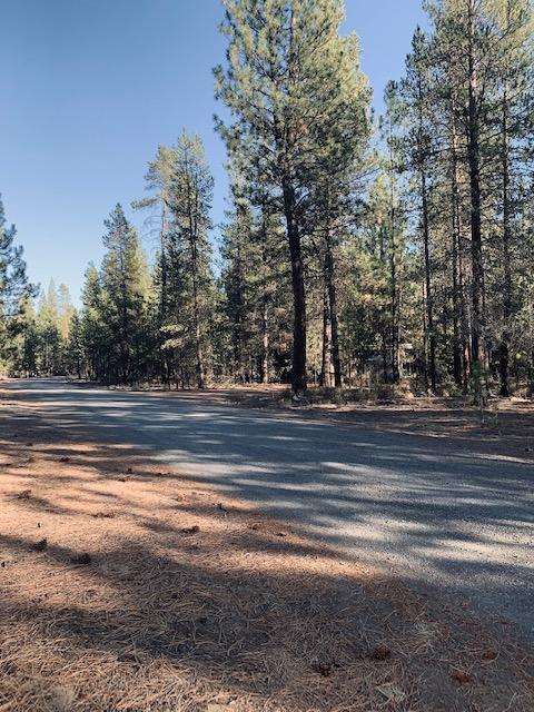 Ponderosa Pines East - Land