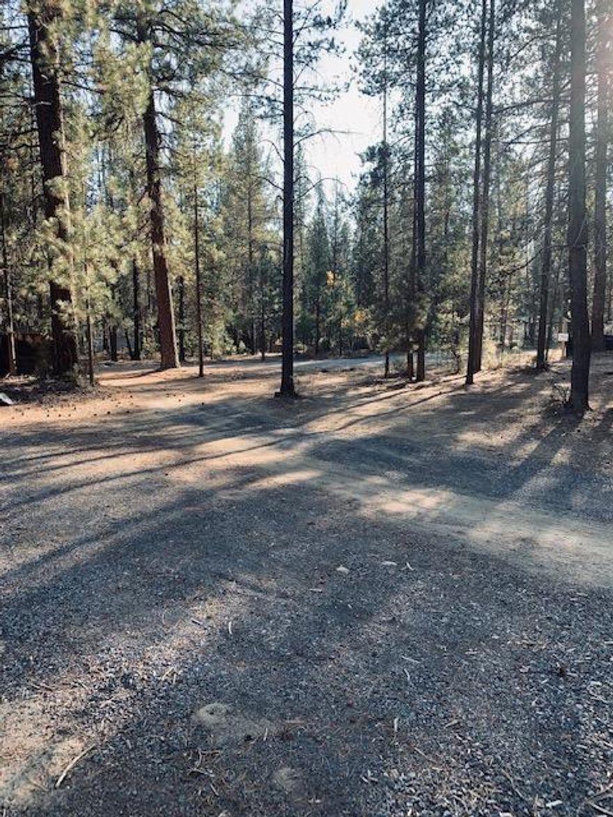 Beautiful property located in Ponderosa Pines East Subdivision. Bring your building possibilities and vision. U drive in place with gravel drive. Water and electric in place with almost an ACRE.<div>Shop is staying, personal belongings will be removed upon closing.