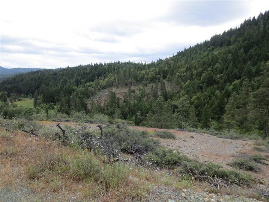 Private Hideaway. 60 acres with your own valley hideaway with creek running through it. Trees and small meadow. BLM road goes through property and property is adjacent to BLM. Existing structure comes with the property but being sold as is'' Please do not attempt to contact occupants. Please contact listing agent before showing. Bank owned property. All information is deemed reliable but not verified; anyone considering purchasing this property should perform their own investigation into the uses and condition of the property.