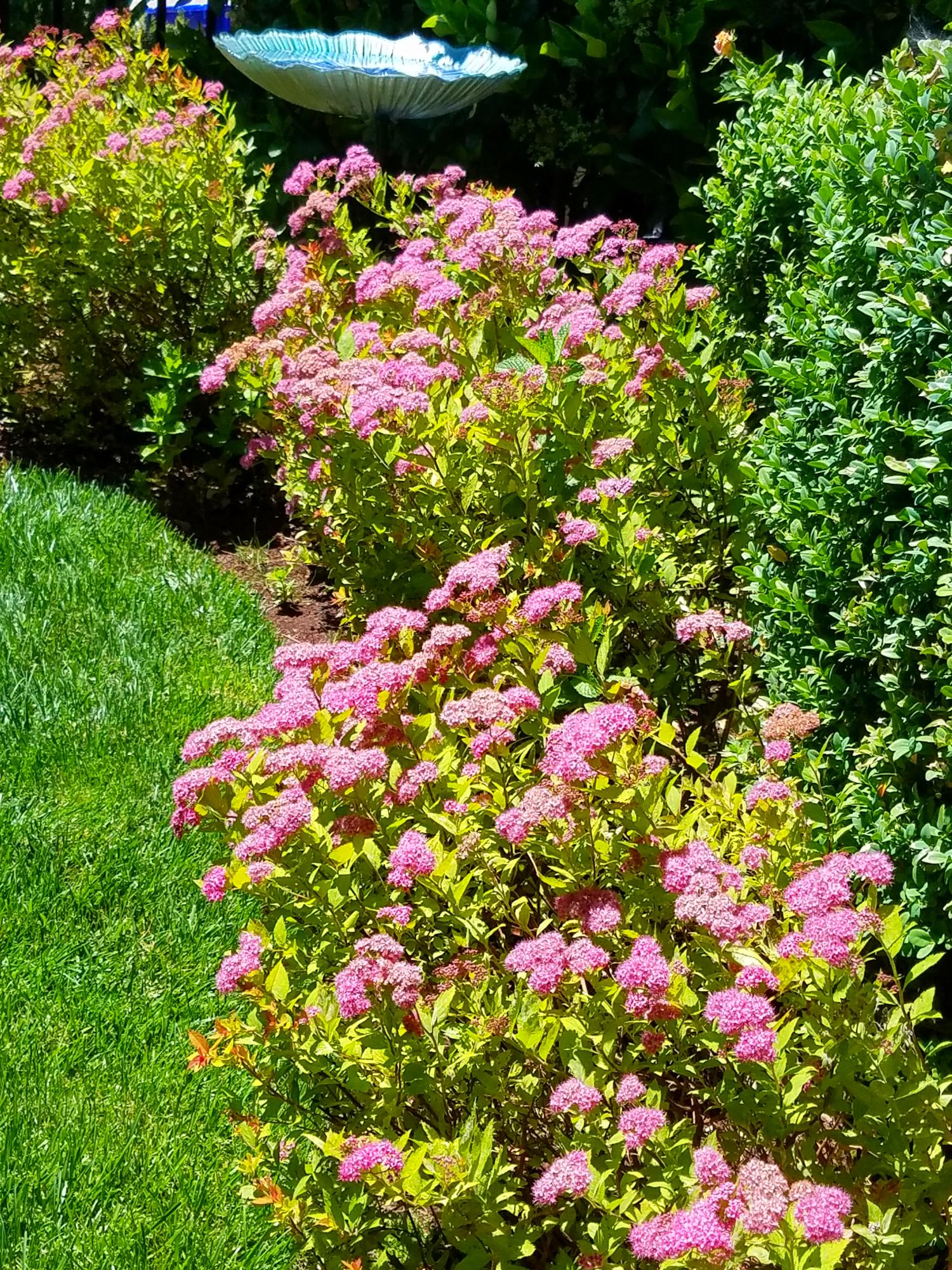 Billings Ranch Subdivision - Residential