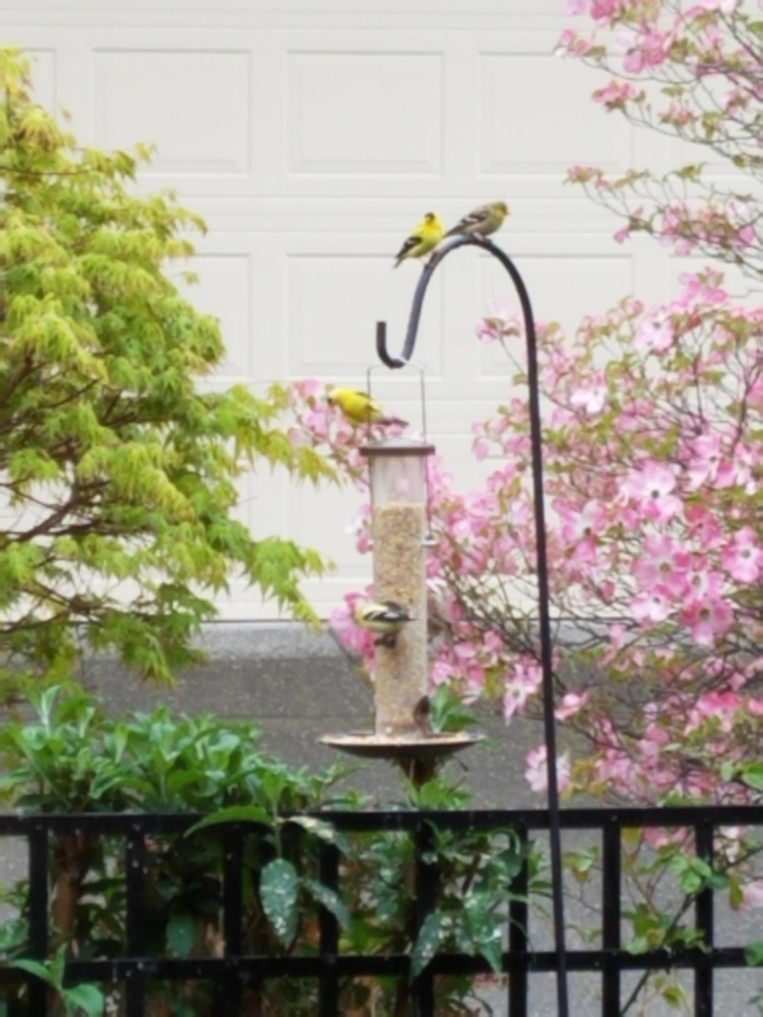 Billings Ranch Subdivision - Residential