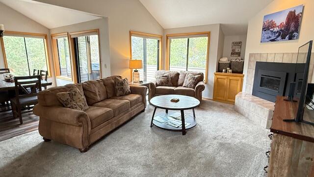 17916 Sandtrap Lane 3