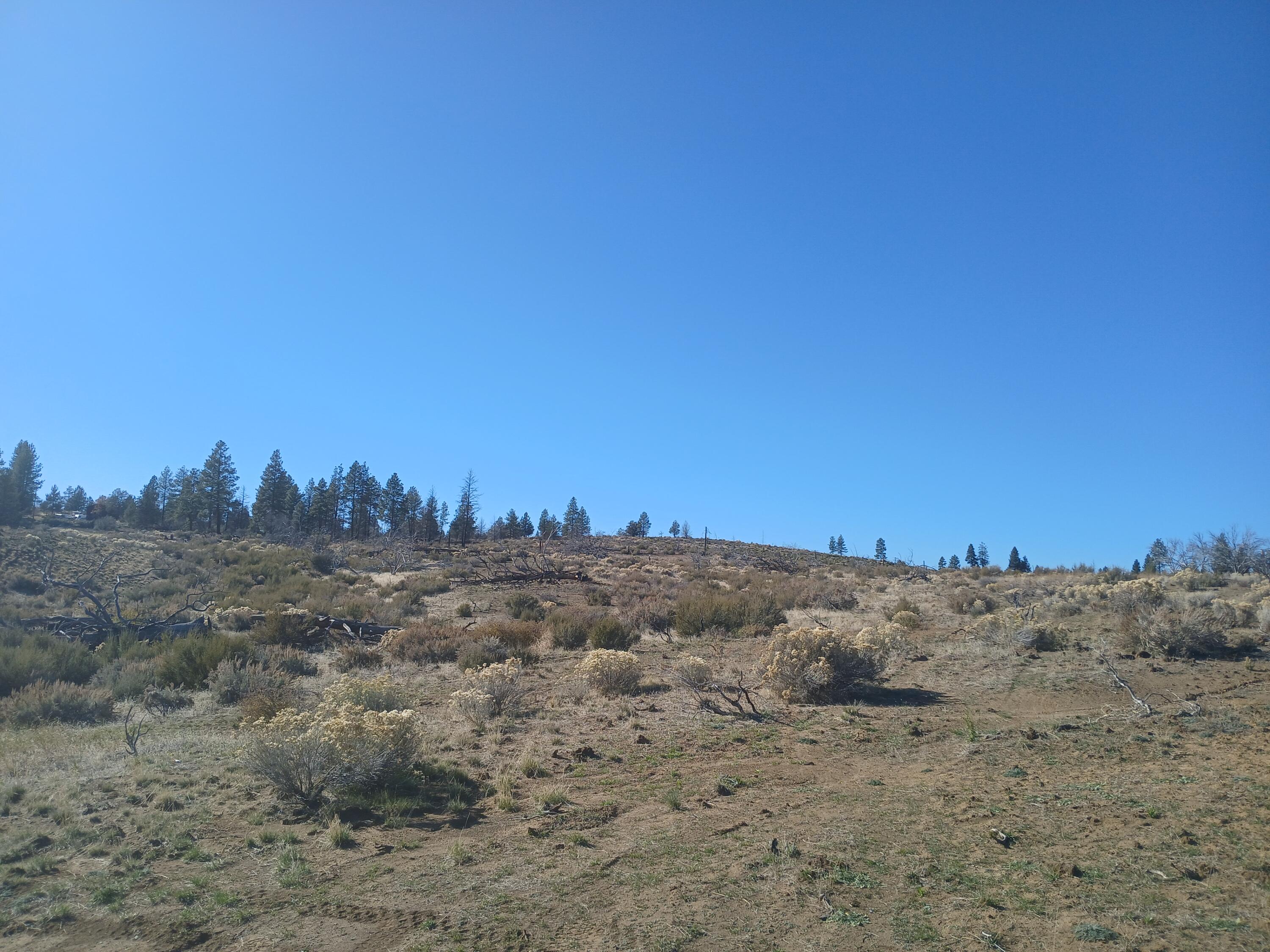 Klamath Falls Forest Estates -Hwy 66 Unit -Plat No. 1 - Land
