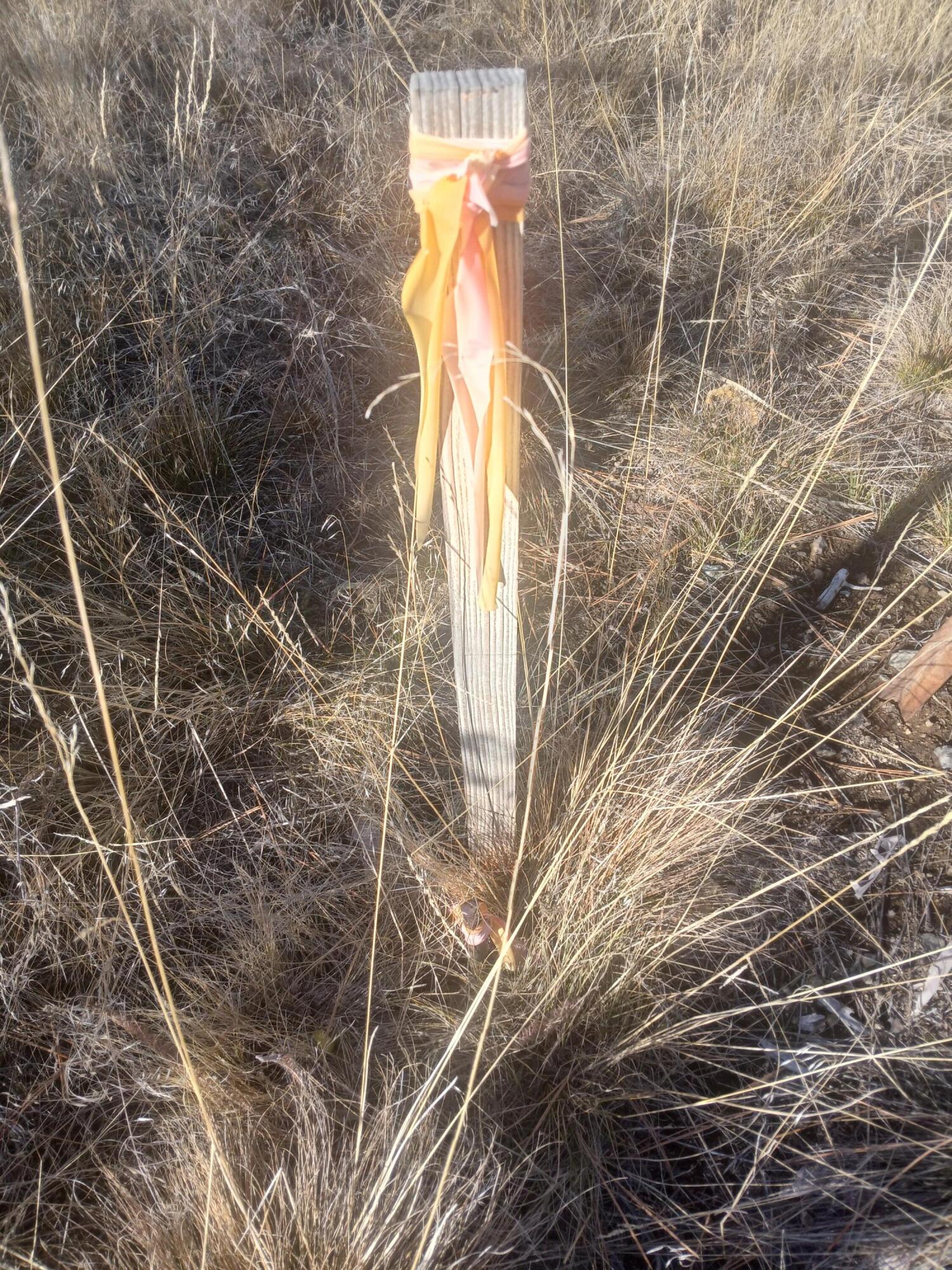 Klamath Falls Forest Estates -Hwy 66 Unit -Plat No. 1 - Land