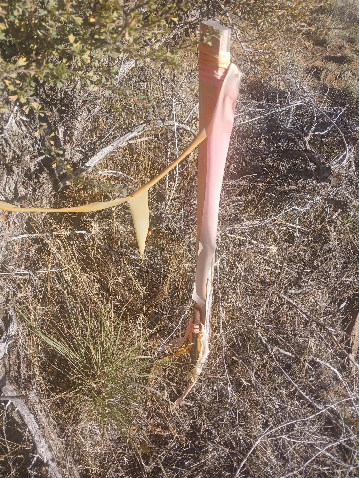 Klamath Falls Forest Estates -Hwy 66 Unit -Plat No. 1 - Land