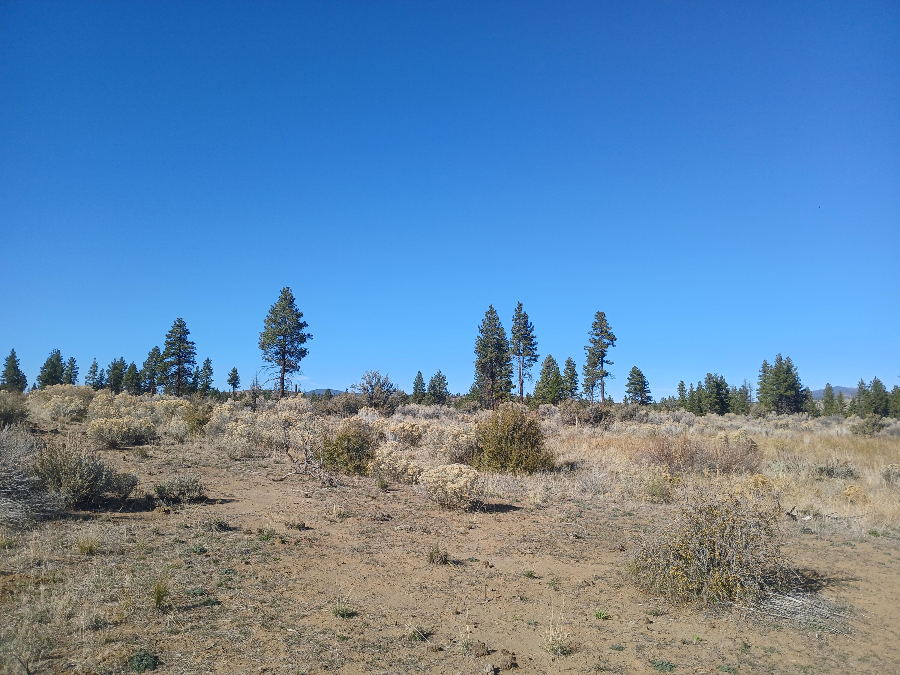 Klamath Falls Forest Estates -Hwy 66 Unit -Plat No. 1 - Land