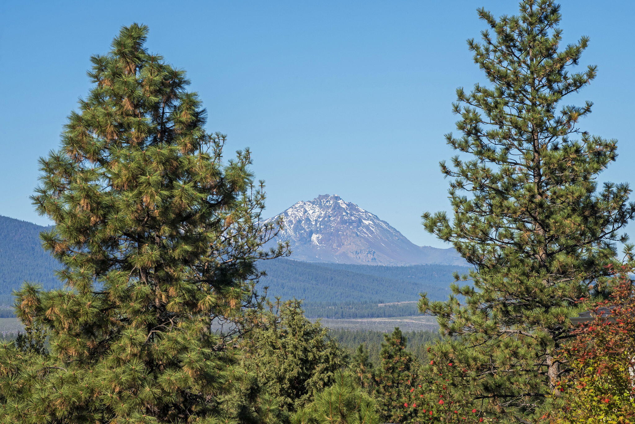 Shevlin Estates - Residential