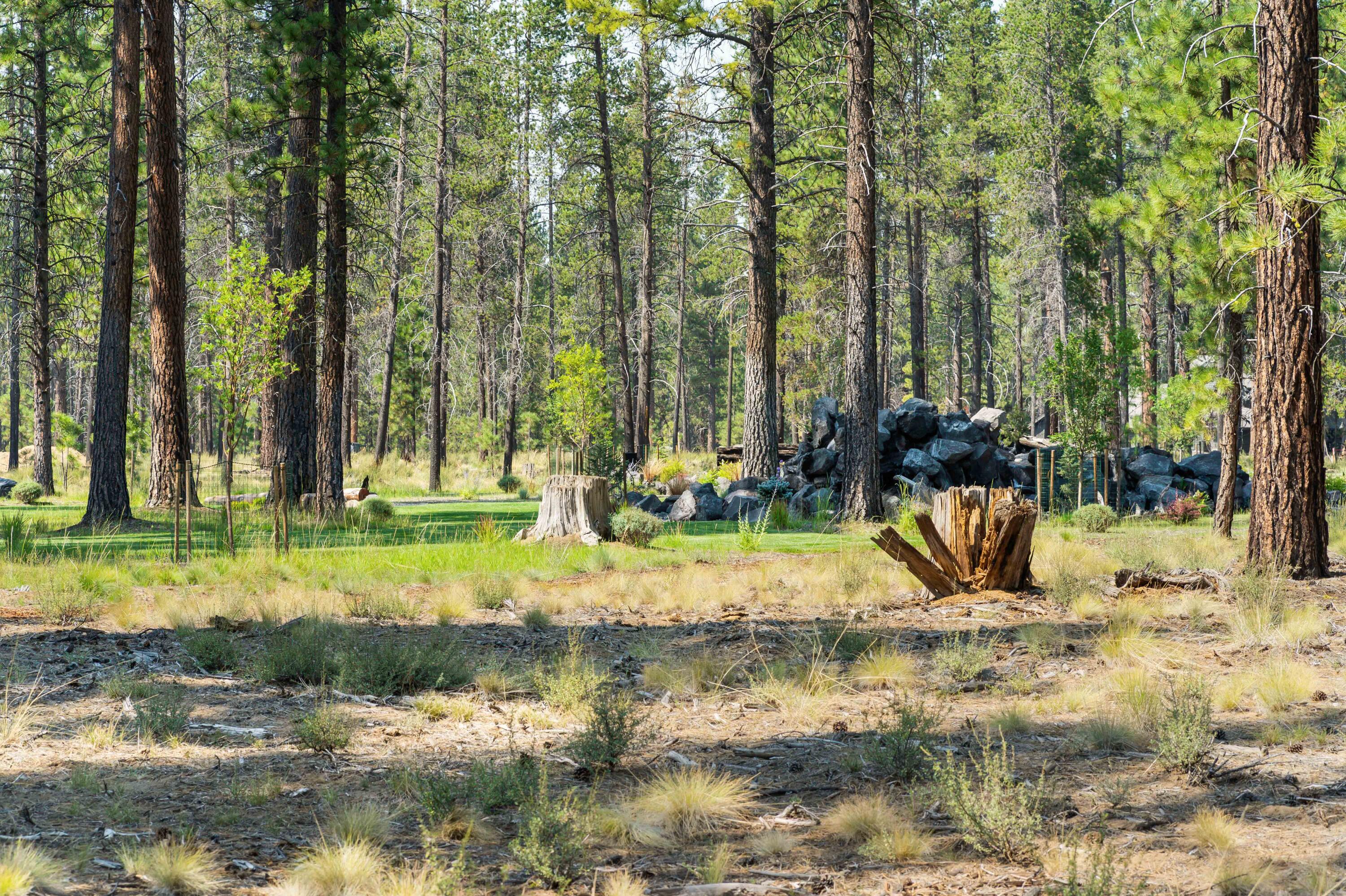 Caldera Springs - Residential