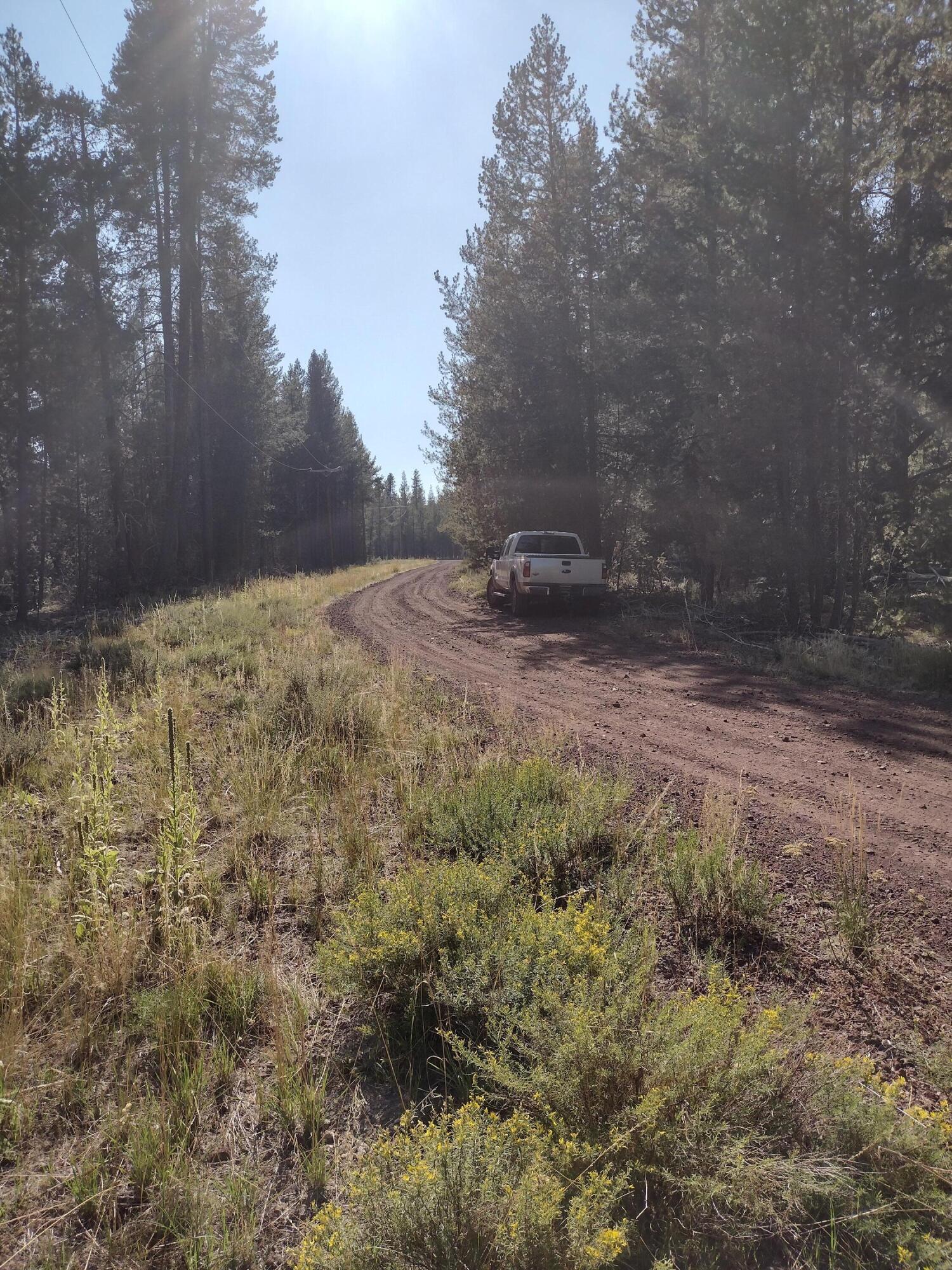 Mt. Scott Meadow - Land
