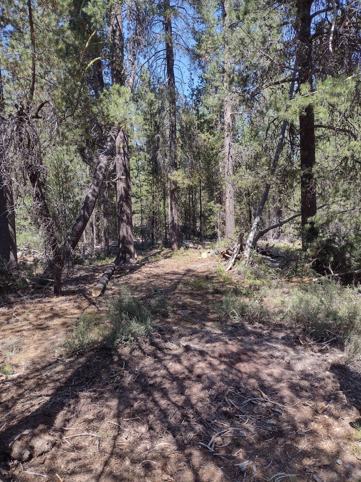 Mt. Scott Meadow - Land
