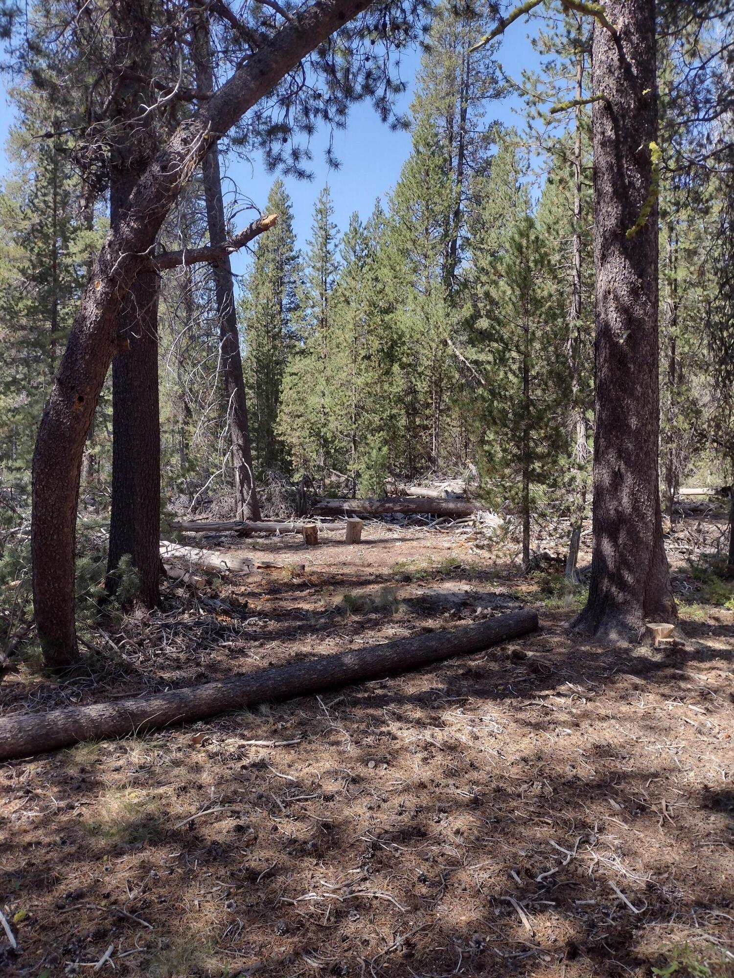 Mt. Scott Meadow - Land