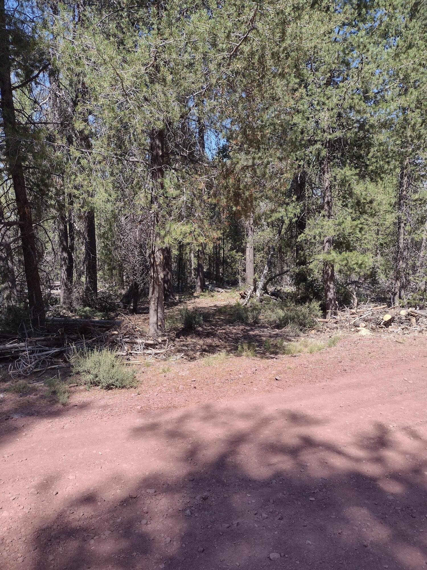 Mt. Scott Meadow - Land