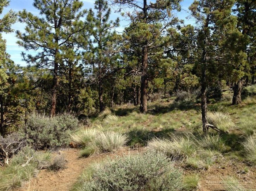 Great homesite, nestled in the trees, with Rivers Edge Golf Course below (2nd fairway). Views of the city extending to the Ochocos and Powell Butte to the east. Good sunny exposure, flat building, lots of trees. Originally one of the first choices when purchased from the developer!