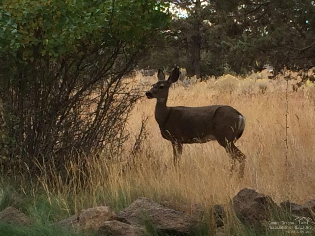 Lake Park Estate - Residential