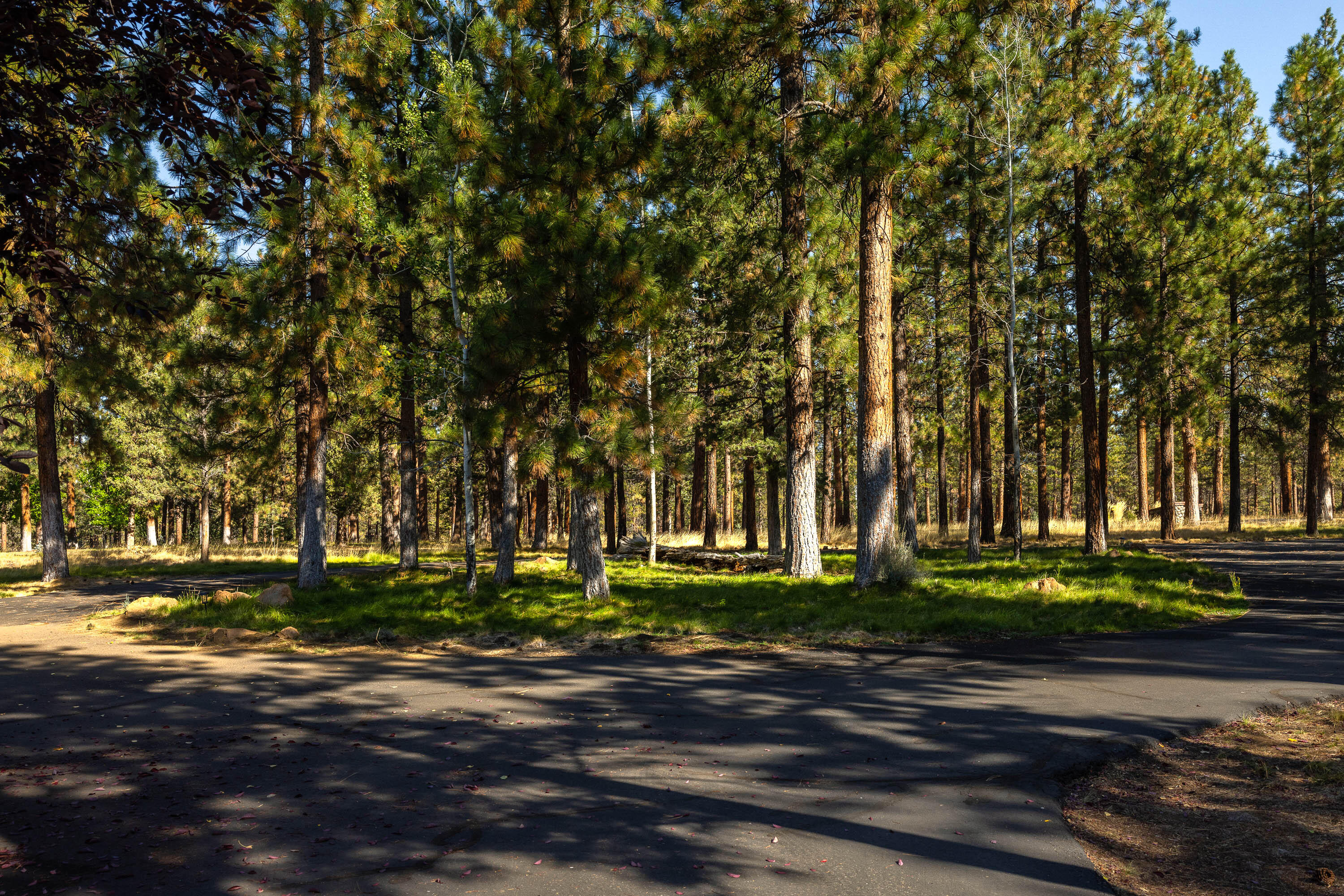 Cascade Meadow Ranch - Residential