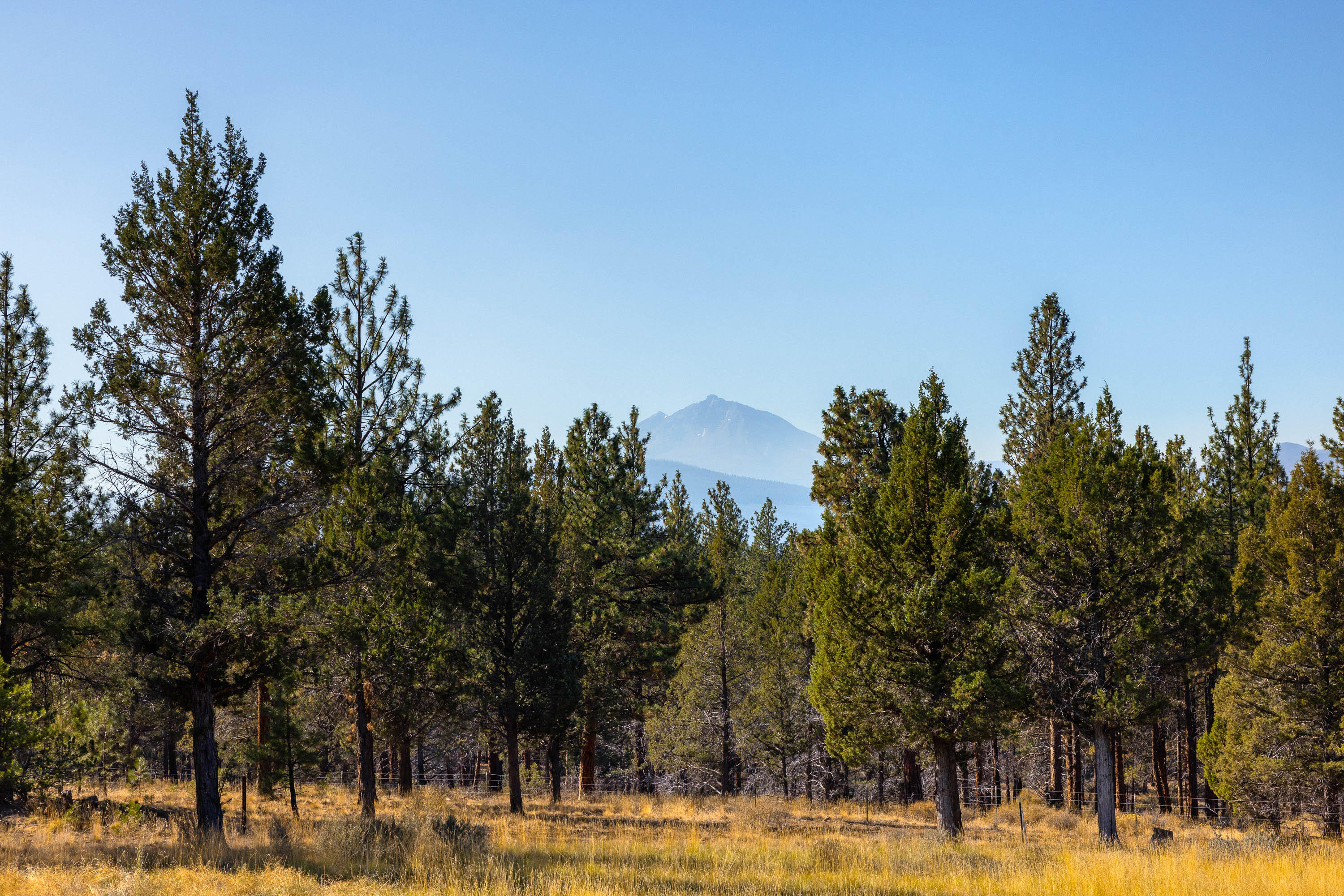 Cascade Meadow Ranch - Residential