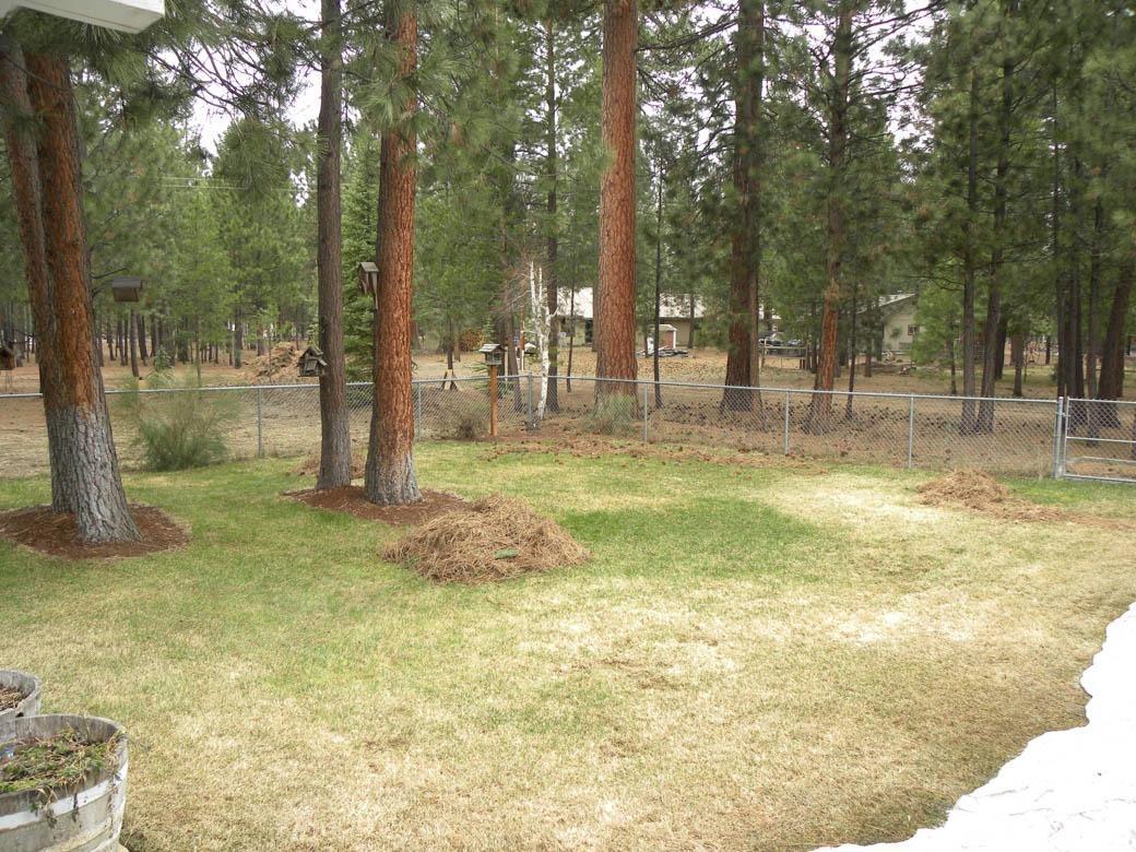 Ponderosa Pines - Residential