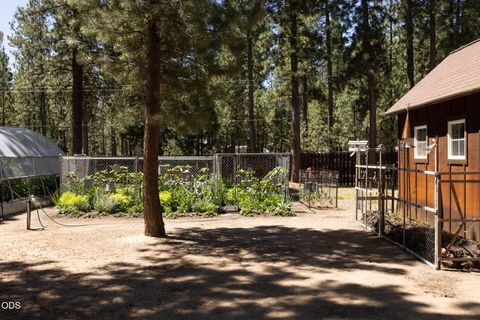 Tiny photo for 51889 Pine Loop Drive, La Pine, OR 97739 (MLS # 220225087)