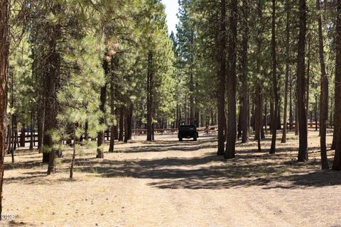 Tiny photo for 51889 Pine Loop Drive, La Pine, OR 97739 (MLS # 220225087)