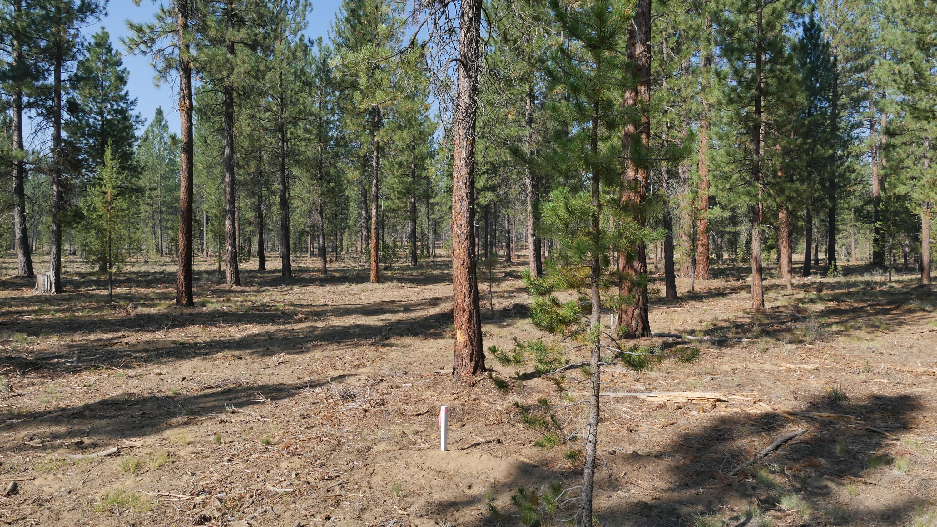 Caldera Springs - Land