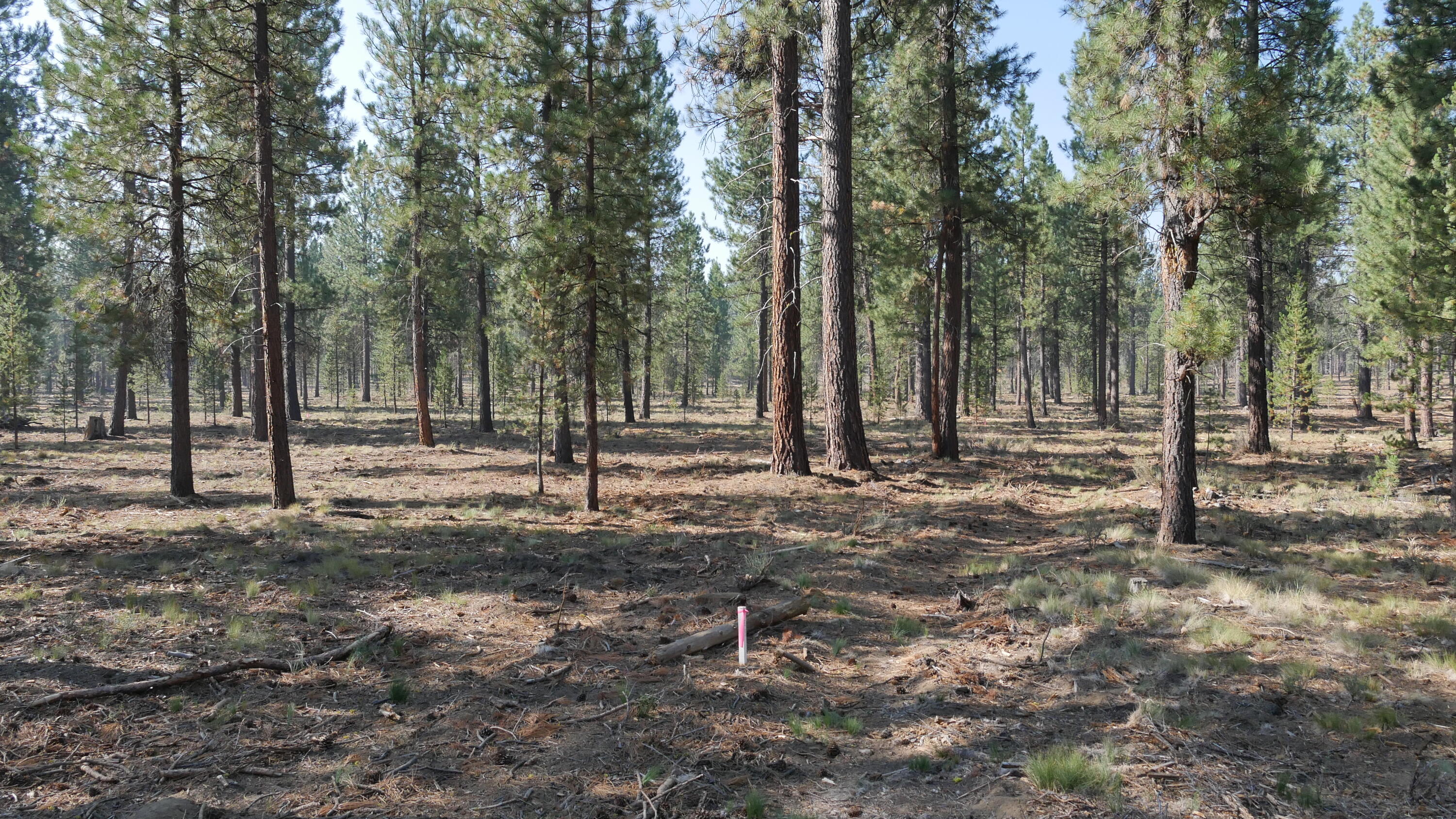 Caldera Springs - Land