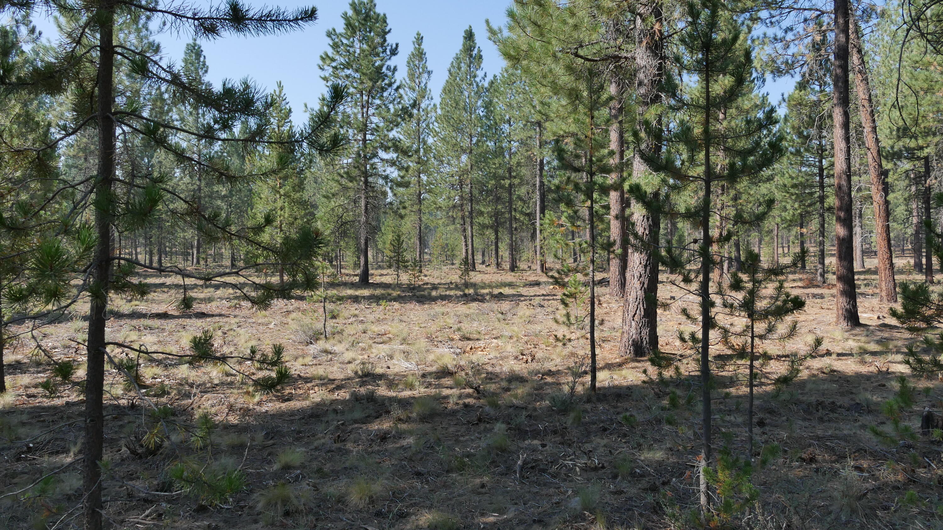 Caldera Springs - Land