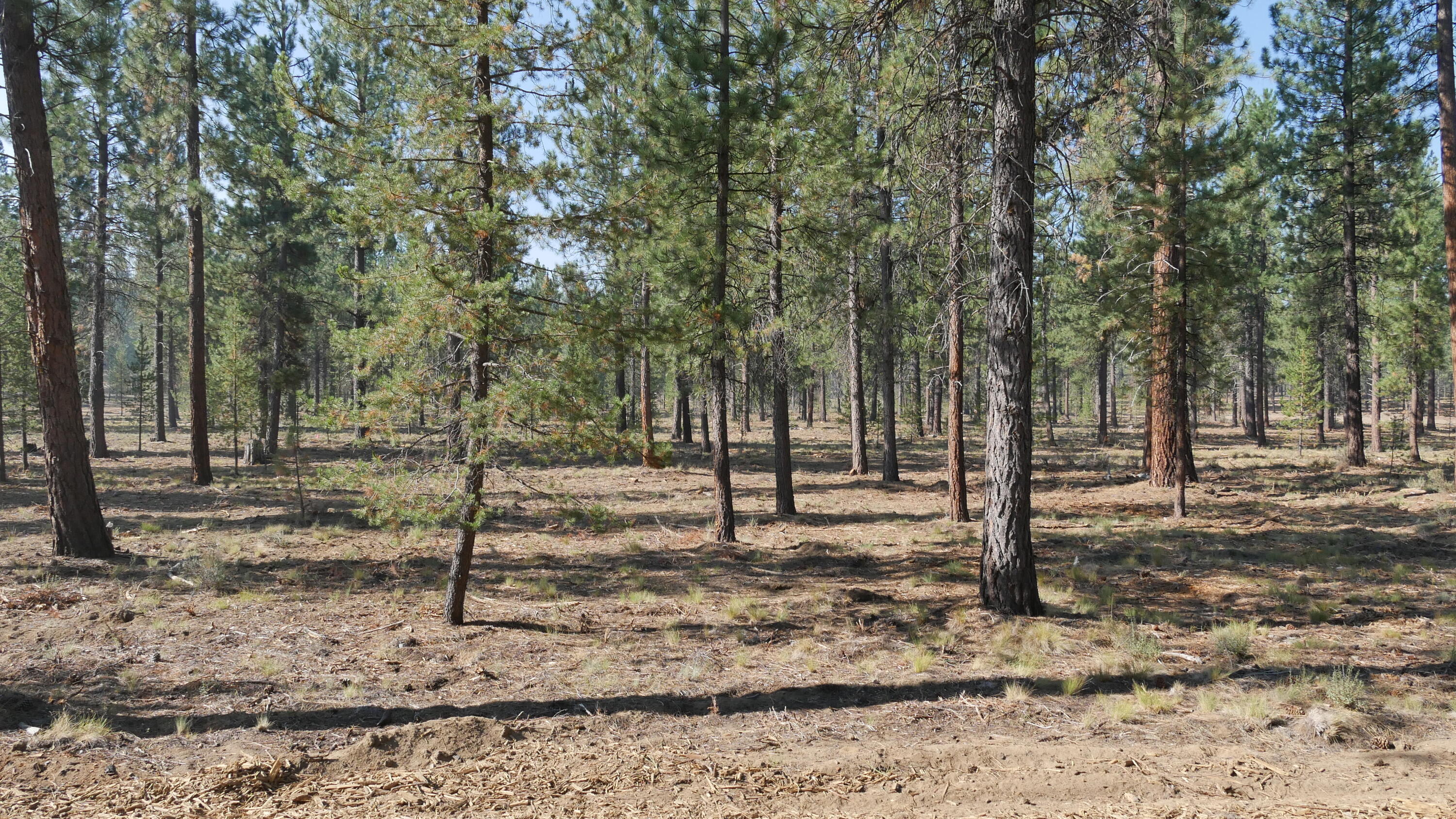 Caldera Springs - Land
