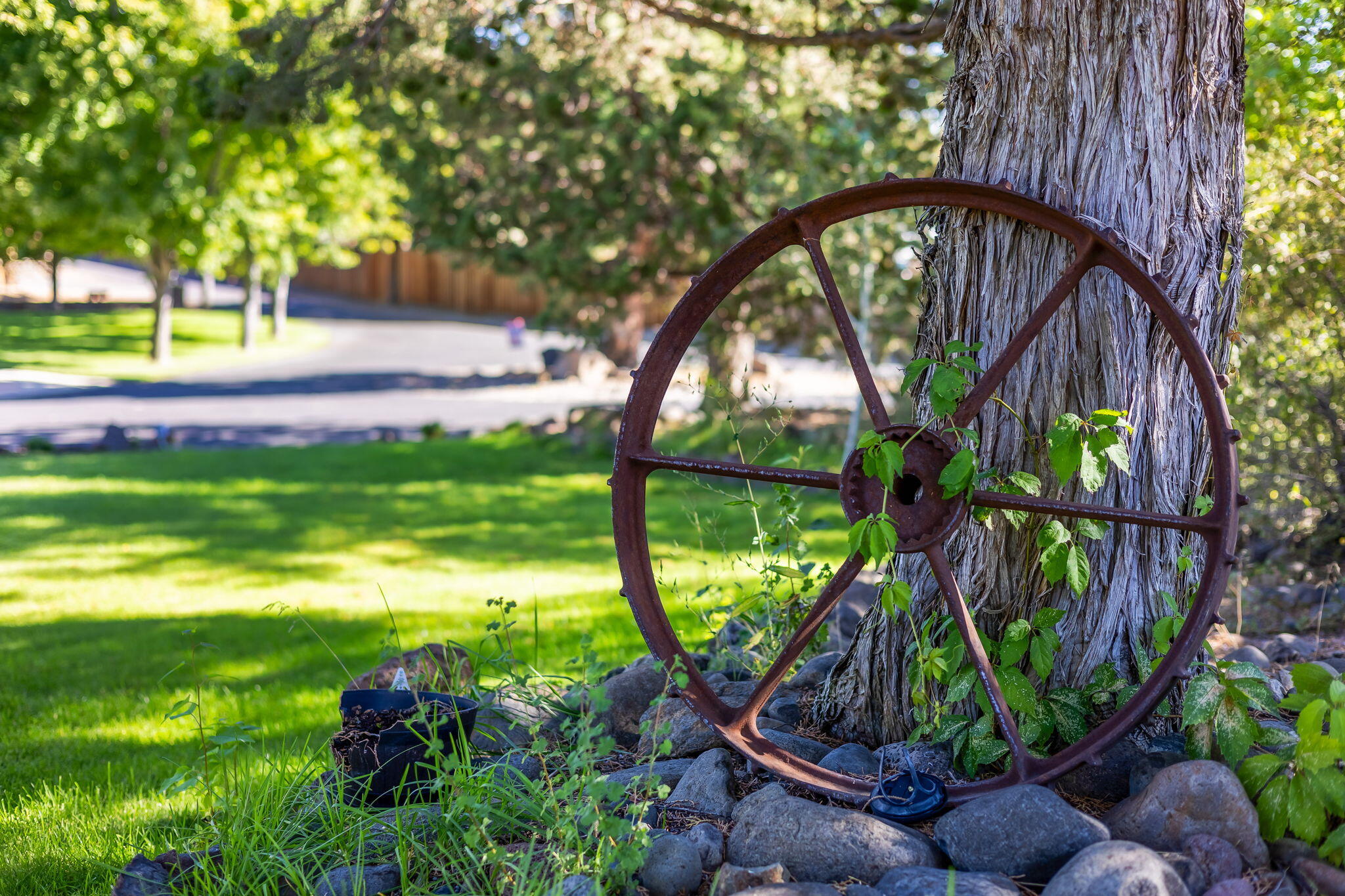 Chaparral Estates - Land