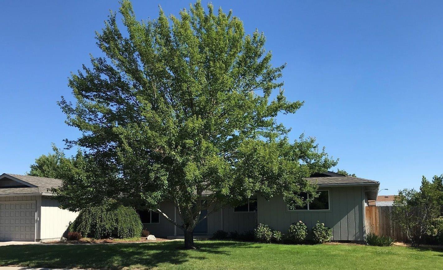 Scenic Village Subdivision - Residential